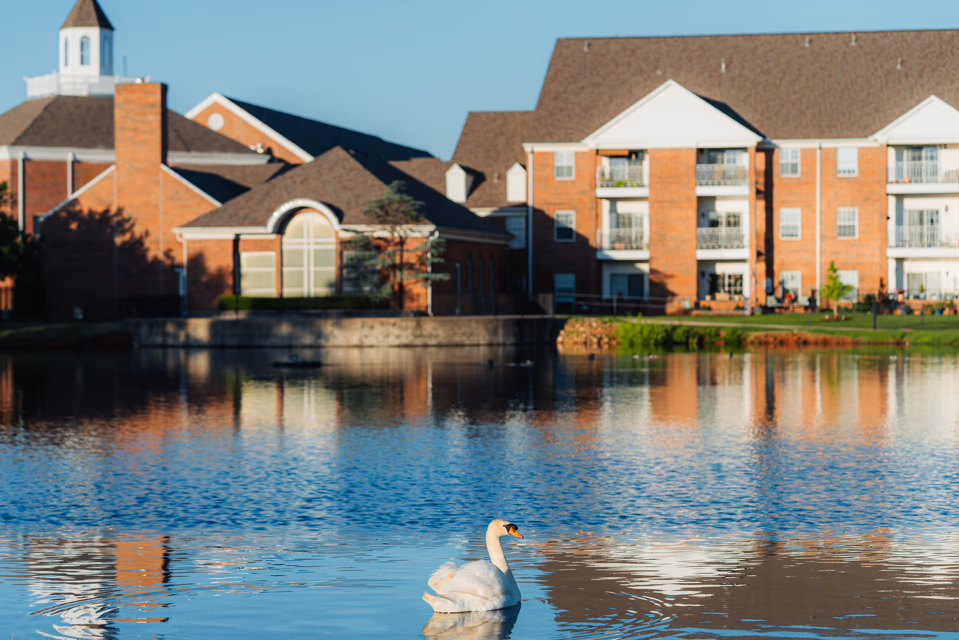 A serene pond with a white swan swimming in the foreground, reflecting a large brick building with white balconies and a peaked roof in the background under a clear blue sky.
