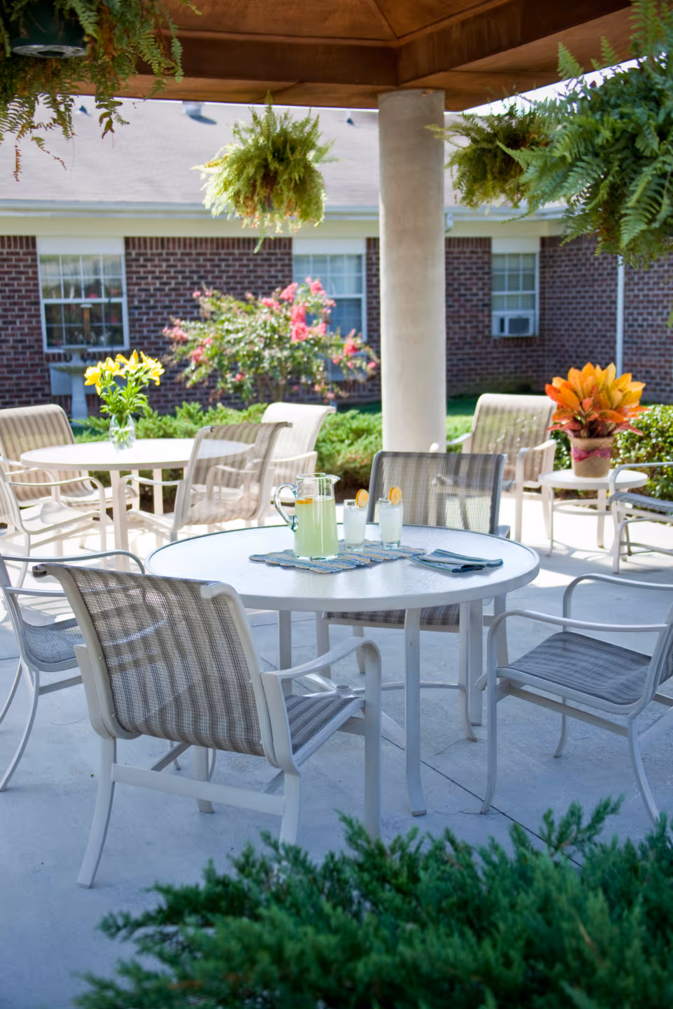 Outdoor patio area with round tables and chairs under a wooden pergola. One table has a pitcher of lemonade and two glasses with lemon slices. Hanging ferns and potted plants add greenery, with a brick building and flowering bushes in the background.