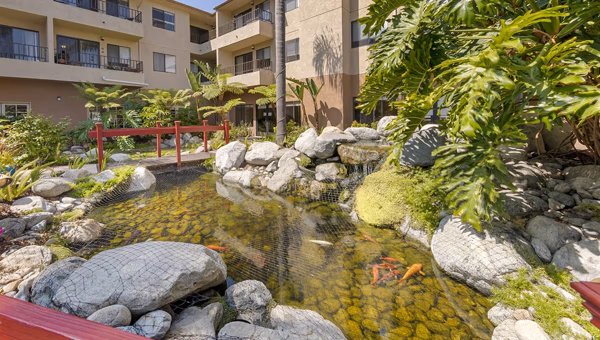 Outdoor garden area at Brookdale South Bay featuring a koi pond with a protective net, surrounded by rocks, lush green plants, and a small red wooden bridge. The background shows a multi-story residential building with balconies.