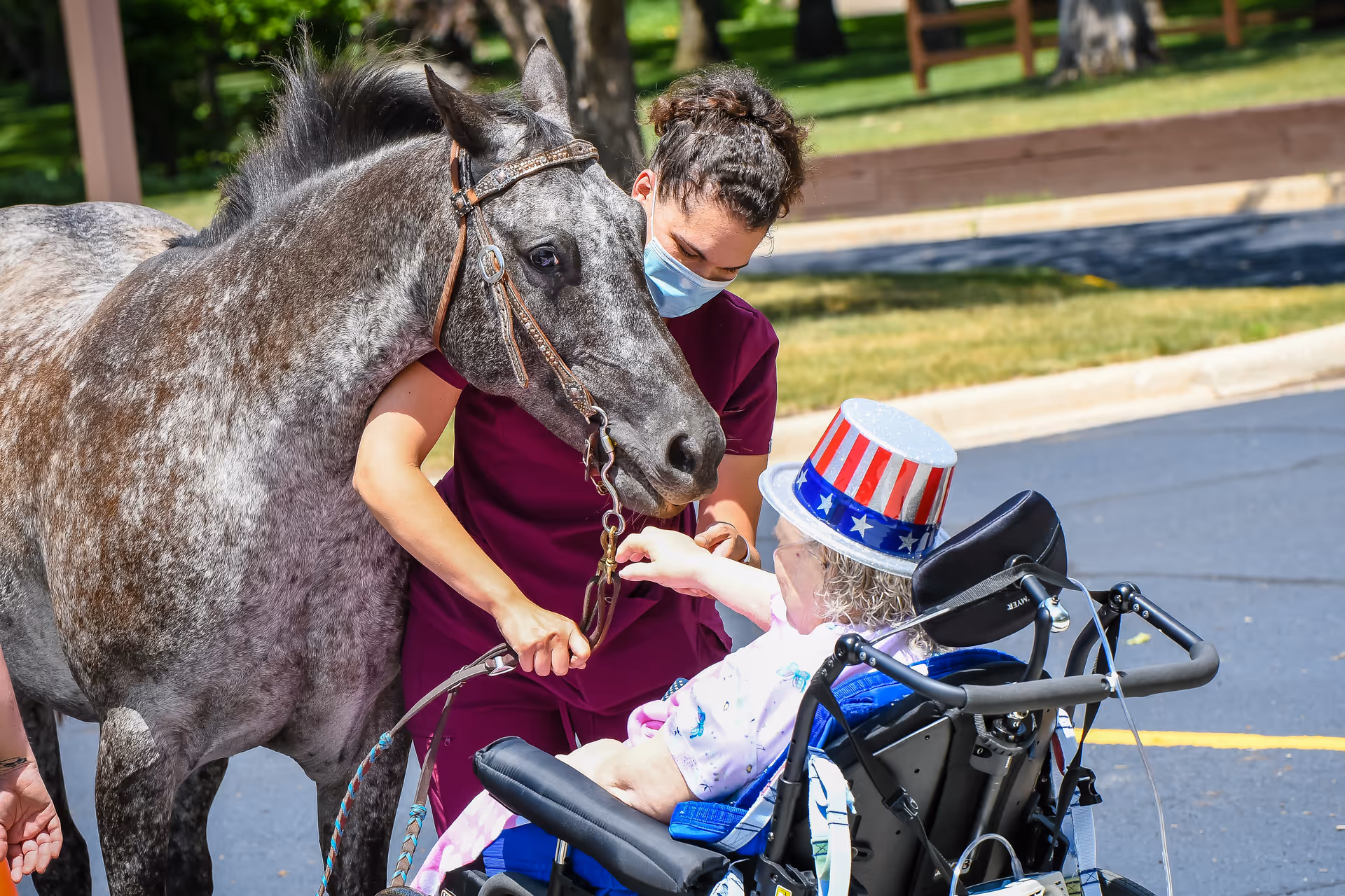 A woman in a maroon uniform and face mask is holding a gray horse while an elderly person in a wheelchair, wearing a patriotic red, white, and blue hat, reaches out to touch the horse. They are outside on a paved area with grass and trees in the background.