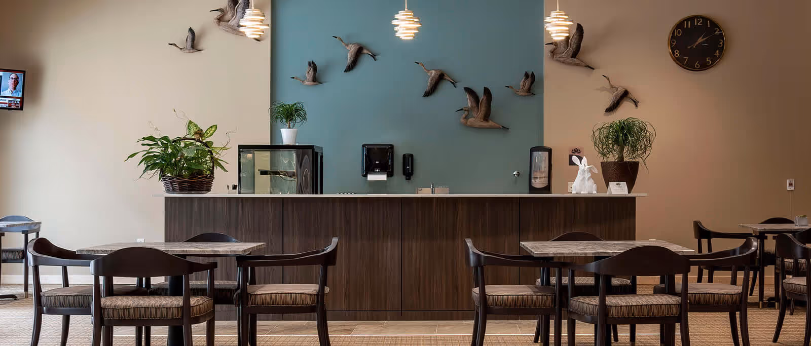 Dining area with wooden tables and chairs facing a service counter decorated with wall-mounted bird sculptures and plants.
