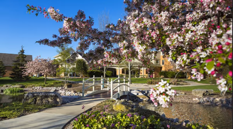 A serene outdoor garden area at Attic Angel featuring a small arched white bridge over a pond, surrounded by blooming trees with pink and white flowers, green grass, and a clear blue sky.