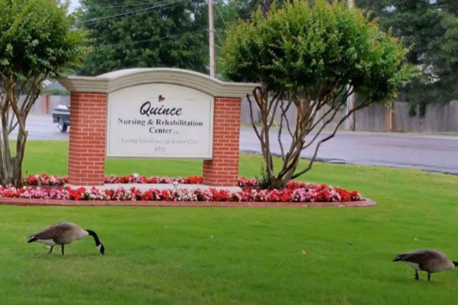 A landscaped outdoor area with a brick and white sign reading 'Quince Nursing & Rehabilitation Center' surrounded by flower beds and two geese grazing on the green grass in front of the sign.