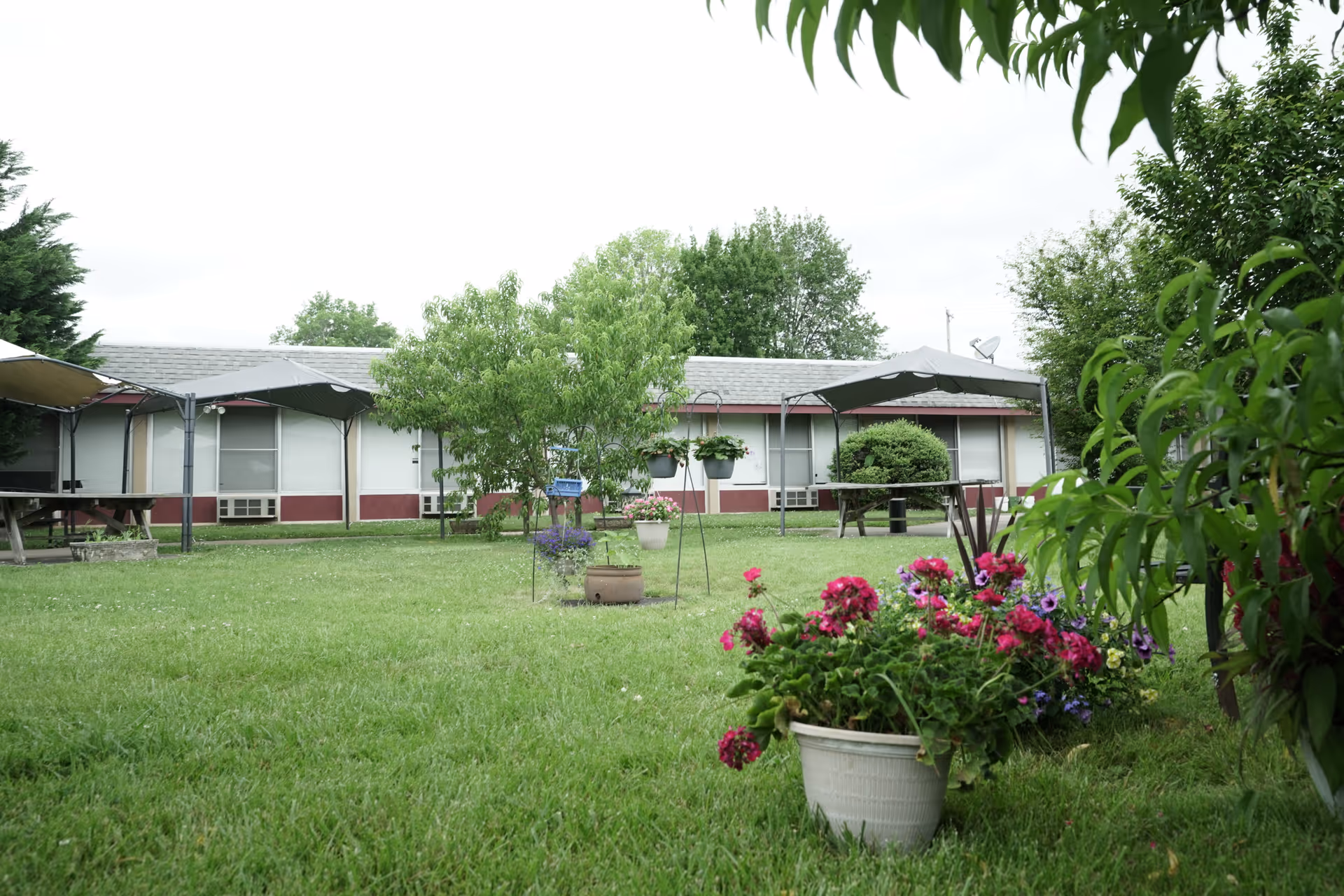 A grassy outdoor area with several potted flowers and plants in the foreground. There are trees and bushes scattered around the lawn. In the background, there is a single-story building with a gray roof and red trim. Two covered picnic tables are visible near the building.