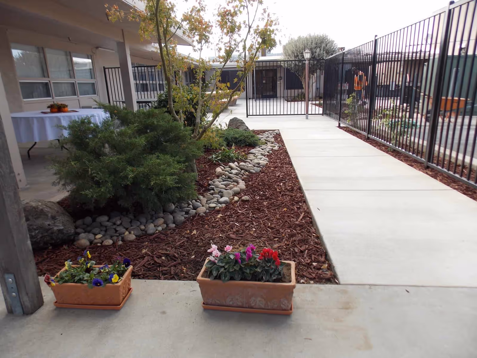 Courtyard walkway with potted flowers, a mulched planting bed with decorative rocks and shrubs, and metal fencing around the facility.