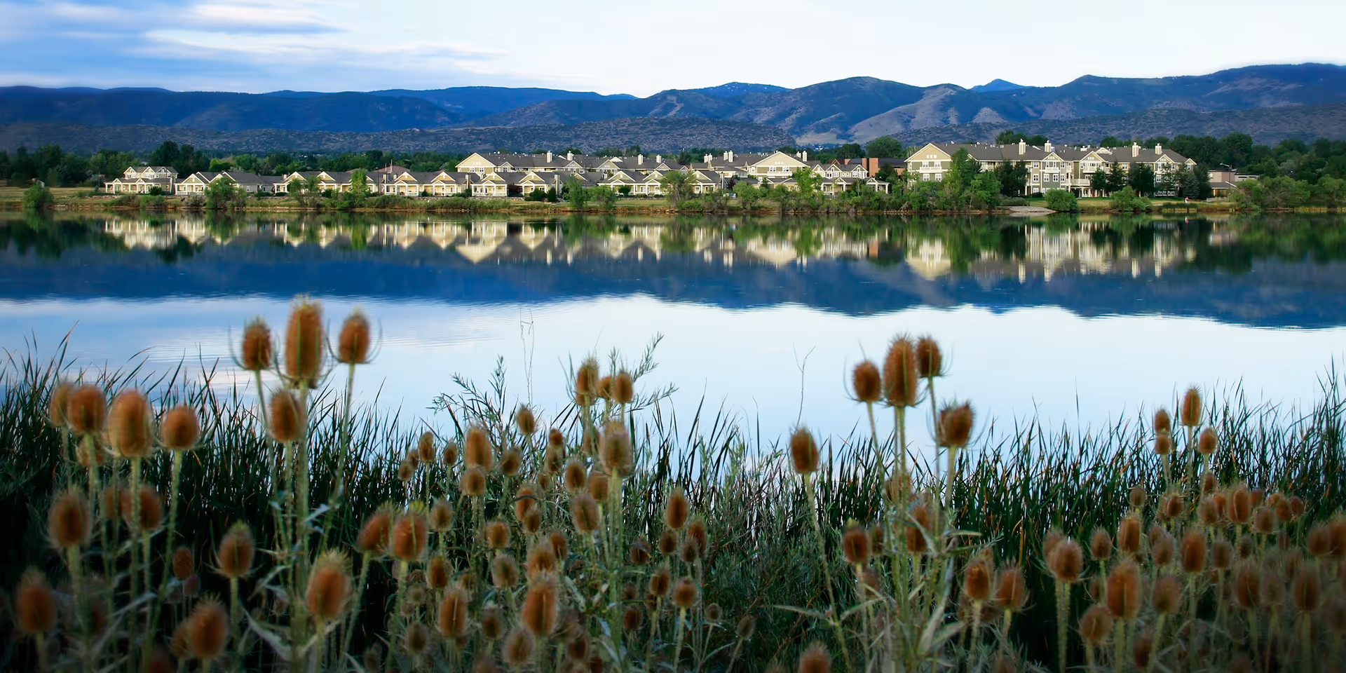 A scenic view of a senior living facility named Concordia On the Lake, situated across a calm lake with clear reflections of the buildings and surrounding hills. In the foreground, there are tall grasses and brown thistle-like plants, with mountains in the background under a partly cloudy sky.
