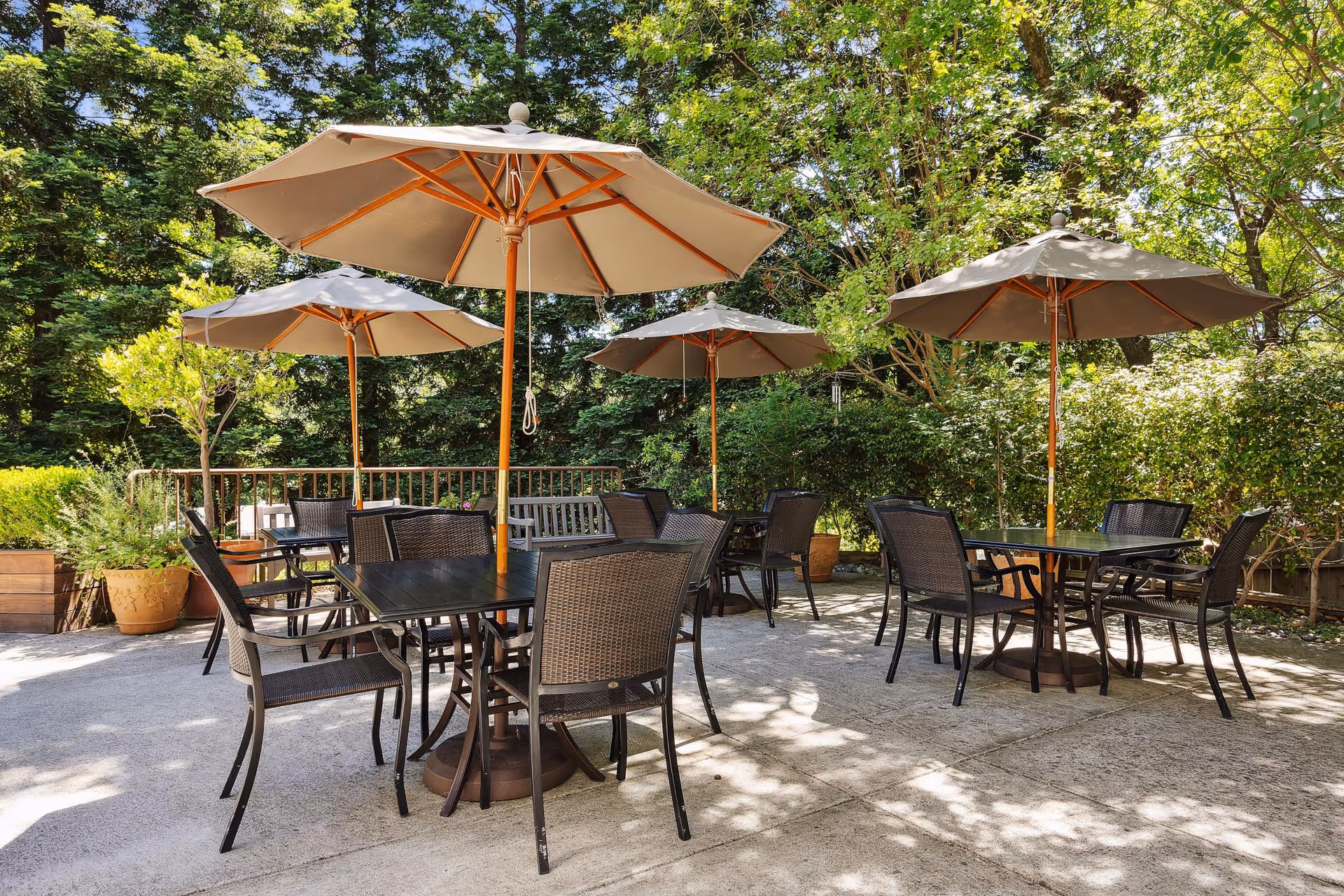 Outdoor patio with several tables, wicker chairs, and large umbrellas surrounded by trees and potted plants.