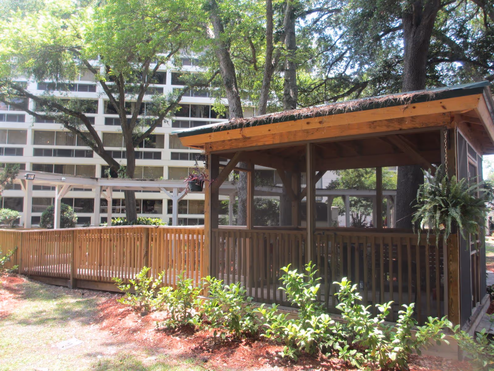A wooden gazebo with screened sides and a green roof situated in a garden area with small plants and trees. Behind the gazebo, there is a multi-story building with many windows. The scene is outdoors with sunlight filtering through the trees.