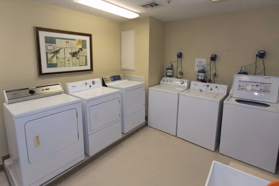 Laundry room with six white washing machines and dryers lined up against beige walls, a framed picture of birds and plants hanging above the machines, and detergent dispensers mounted on the wall.