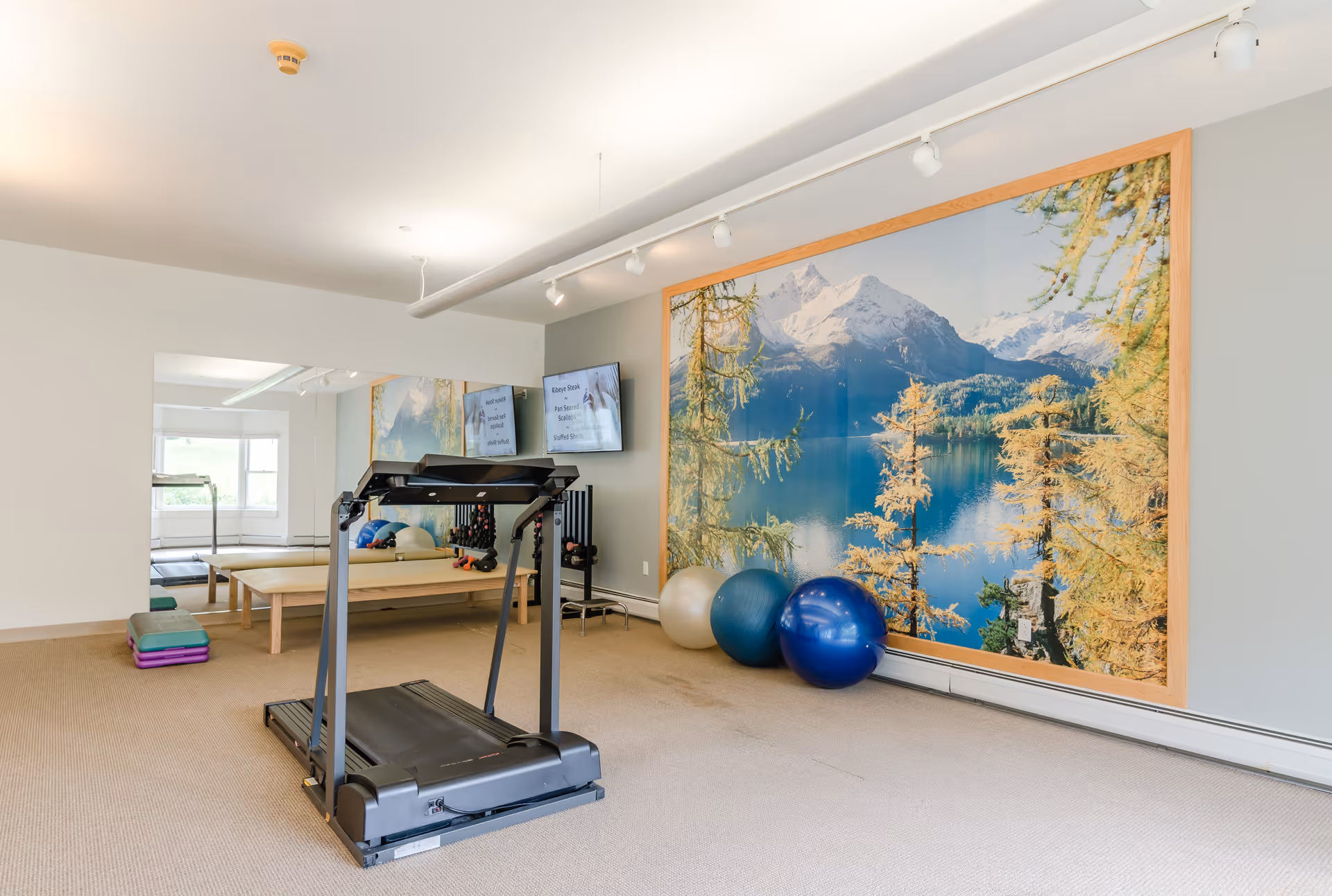 A fitness room with a treadmill, exercise balls, and a large wall mural depicting a scenic mountain lake surrounded by trees. There is a large mirror on one wall and two mounted flat-screen TVs displaying workout information. The room has beige carpeting and white walls with ceiling track lighting.