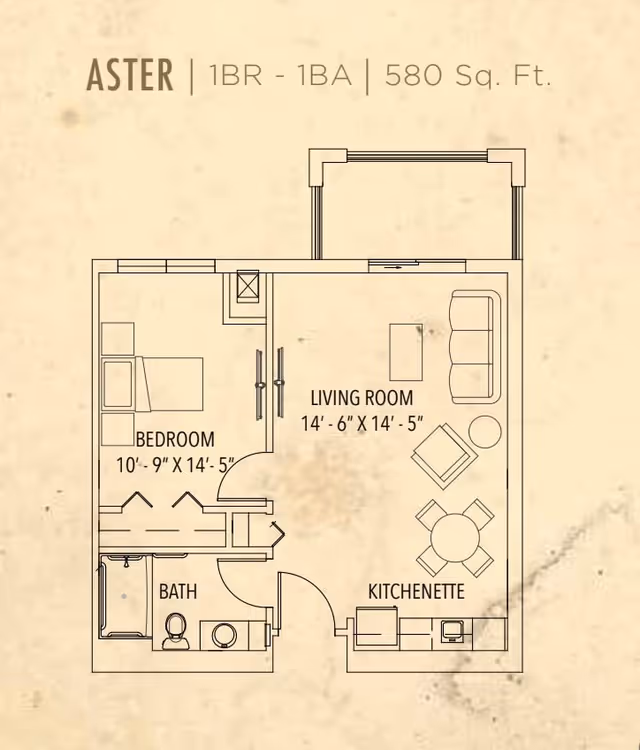 Floor plan of a one-bedroom, one-bathroom apartment named Aster with 580 square feet. The layout includes a bedroom measuring 10 feet 9 inches by 14 feet 5 inches, a living room measuring 14 feet 6 inches by 14 feet 5 inches, a bath, and a kitchenette area.