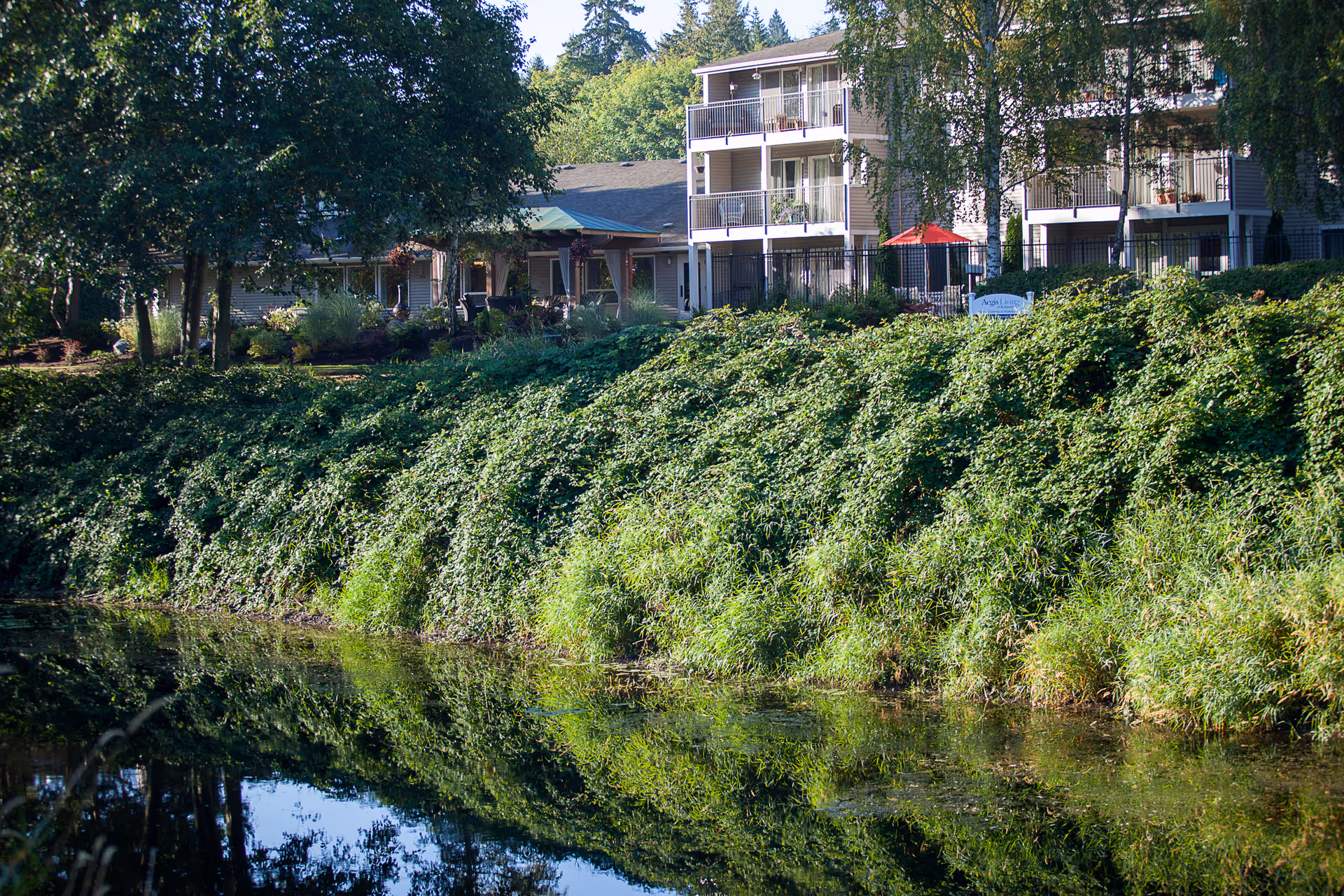 Aegis Living Redmond facility building partially visible behind dense green shrubbery and trees, with a calm body of water reflecting the greenery in the foreground.