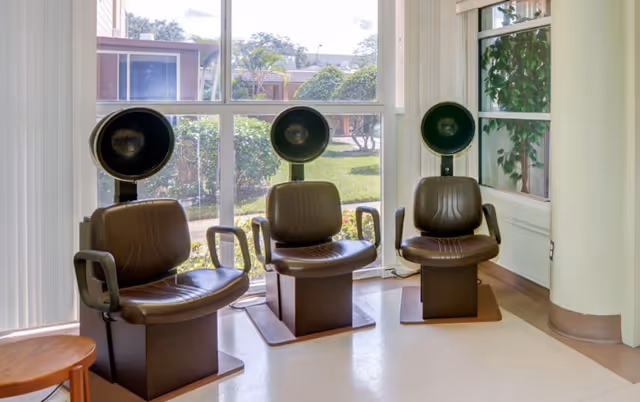 Three vintage brown salon hair dryer chairs positioned in front of large windows with a view of green bushes and a building outside.