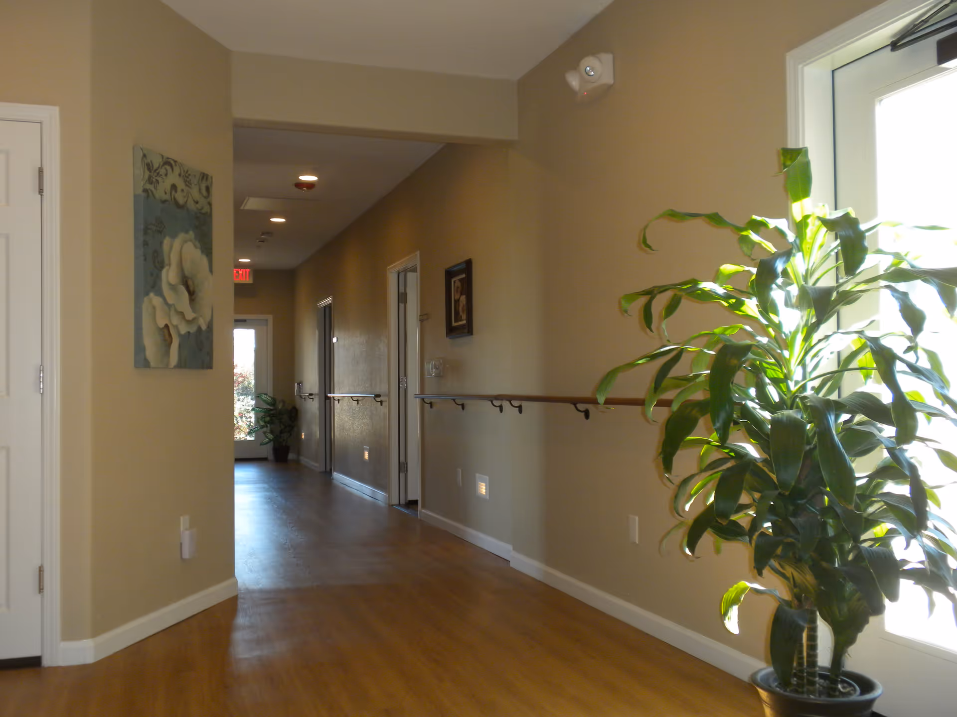 Well-lit interior hallway with wood flooring, handrails, wall artwork, and a potted plant by a door.