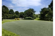 Small outdoor putting green with several flagsticks, grassy edges and trees under a partly cloudy sky.