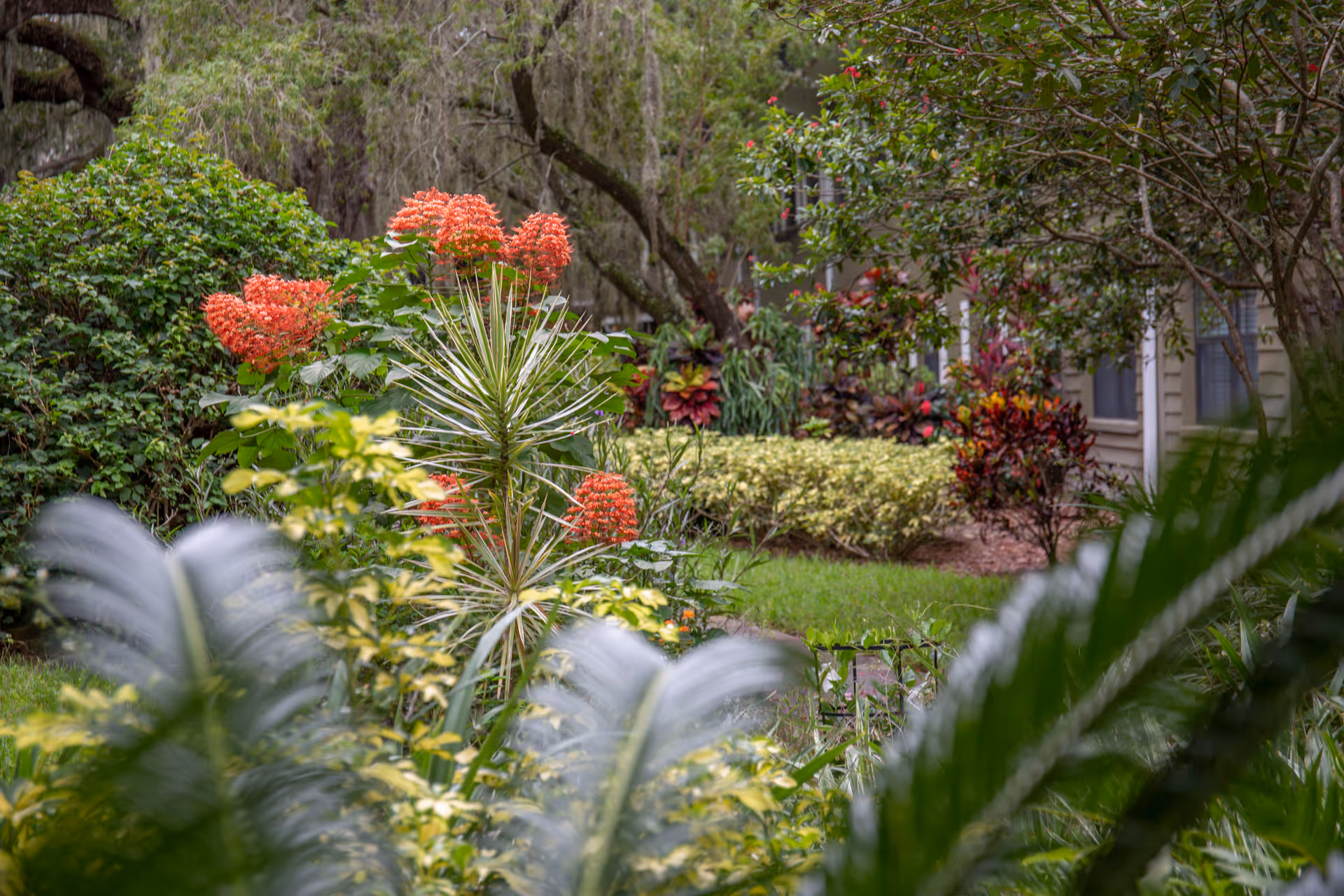 Landscaped courtyard with tropical plants and clusters of orange flowers in front of a residential building.