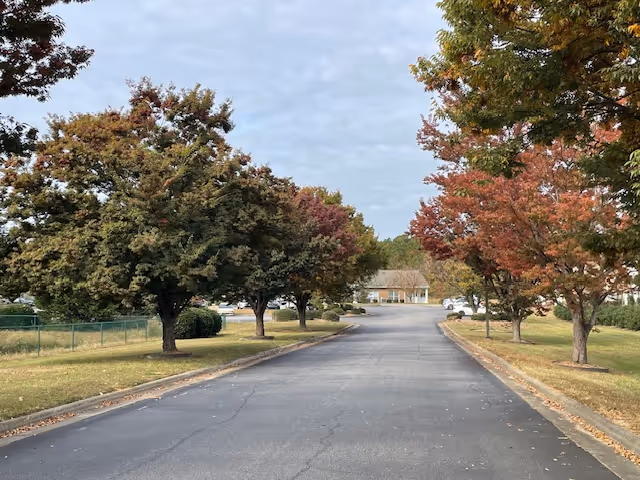 Paved driveway lined with trees showing fall colors leading to a small building in the distance.