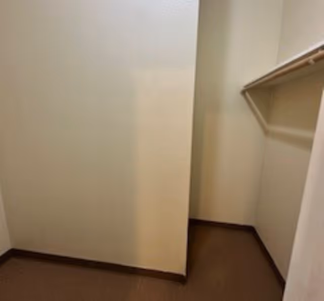 Empty small walk-in closet with beige walls, brown carpeted floor, and a single wooden hanging rod on the right side.