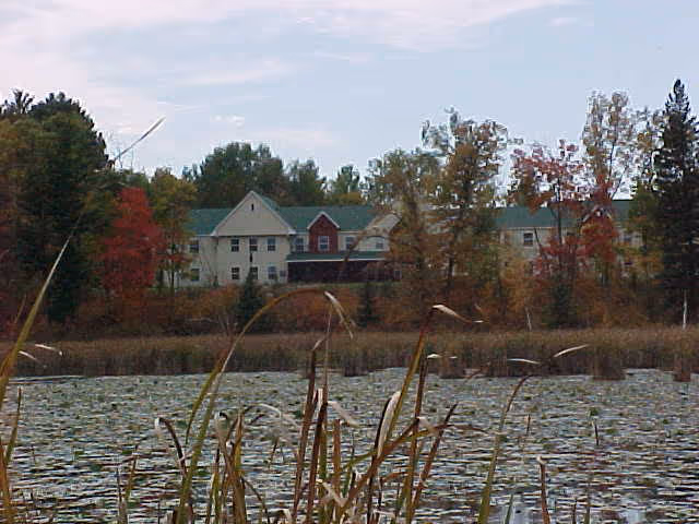 A large building with a green roof and beige walls is partially visible behind trees with autumn foliage. In the foreground, there is a pond with lily pads and tall grasses along the edge.