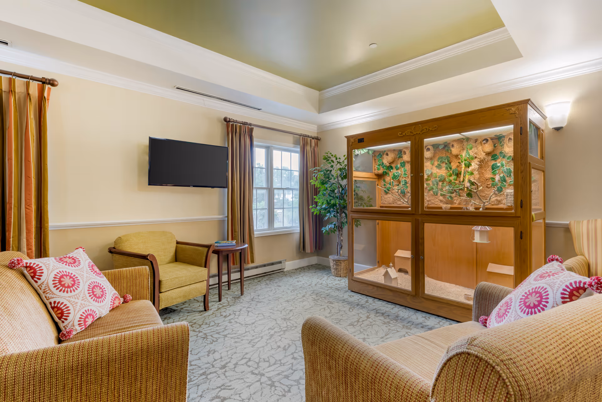 A cozy living room area with two beige armchairs and a matching sofa adorned with decorative pillows. A flat-screen TV is mounted on the wall above a small wooden side table. A large wooden enclosure with glass panels houses a naturalistic display featuring branches, leaves, and bird nests. The room has a window with curtains, a potted plant, and soft lighting from a wall sconce.