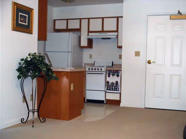 Interior view of a small kitchen area in an apartment with white walls and beige carpet. The kitchen features wooden cabinets, a white refrigerator, a white stove with a decorative towel hanging on the oven door, and a small island or counter. A potted plant on a black metal stand is placed near the kitchen area, and a white door with a gold-colored handle is visible to the right.