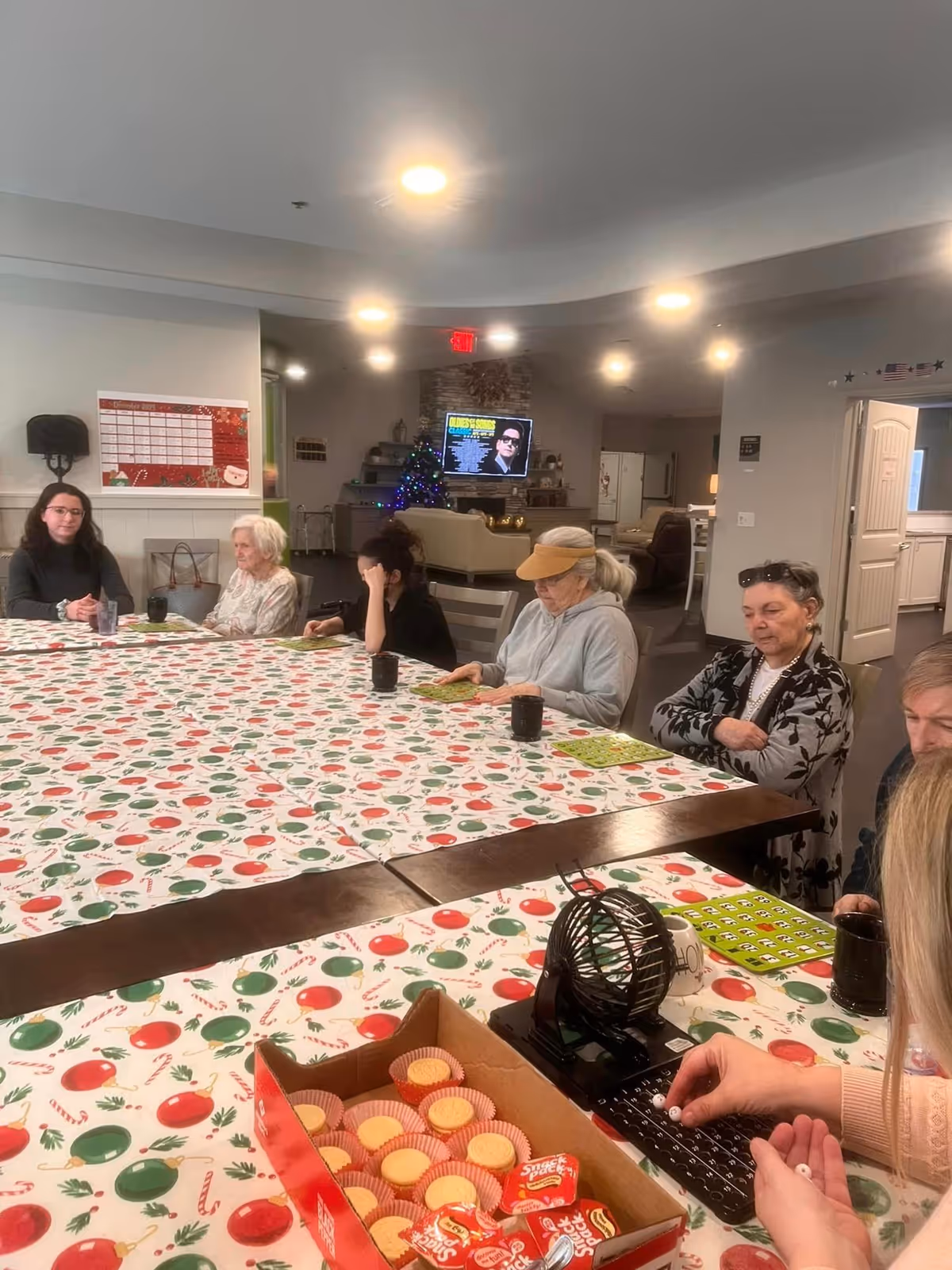 A group of elderly people and a younger person sitting around a large table covered with a festive tablecloth decorated with red and green ornaments. They appear to be playing a game, with bingo cards and a bingo cage on the table. In the background, there is a Christmas tree with lights and a television mounted on a stone wall.