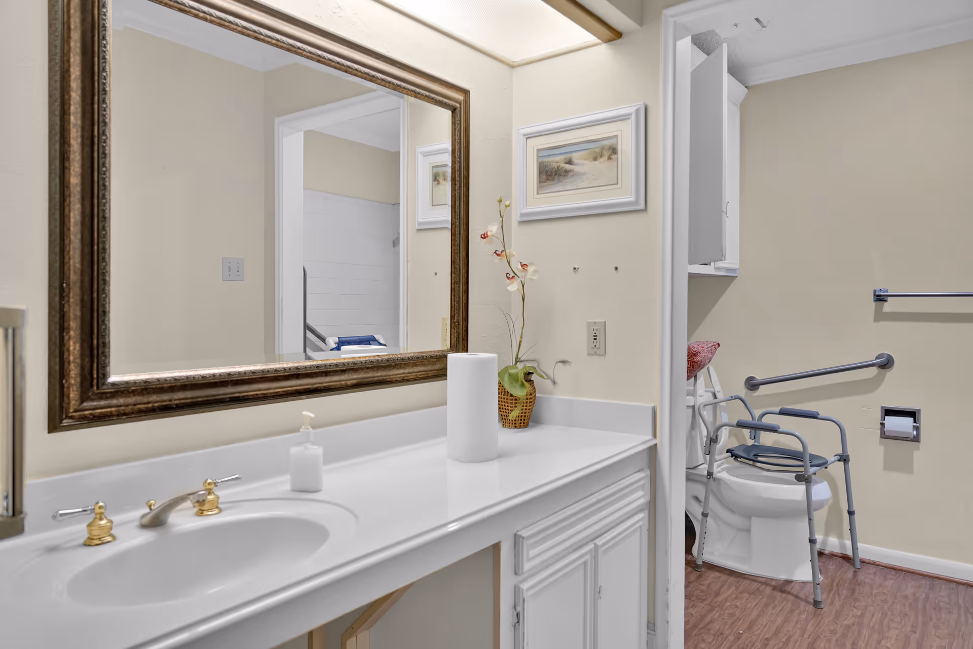 Bathroom vanity with sink and large framed mirror, and a toilet with a raised commode frame and grab bars visible through the doorway.
