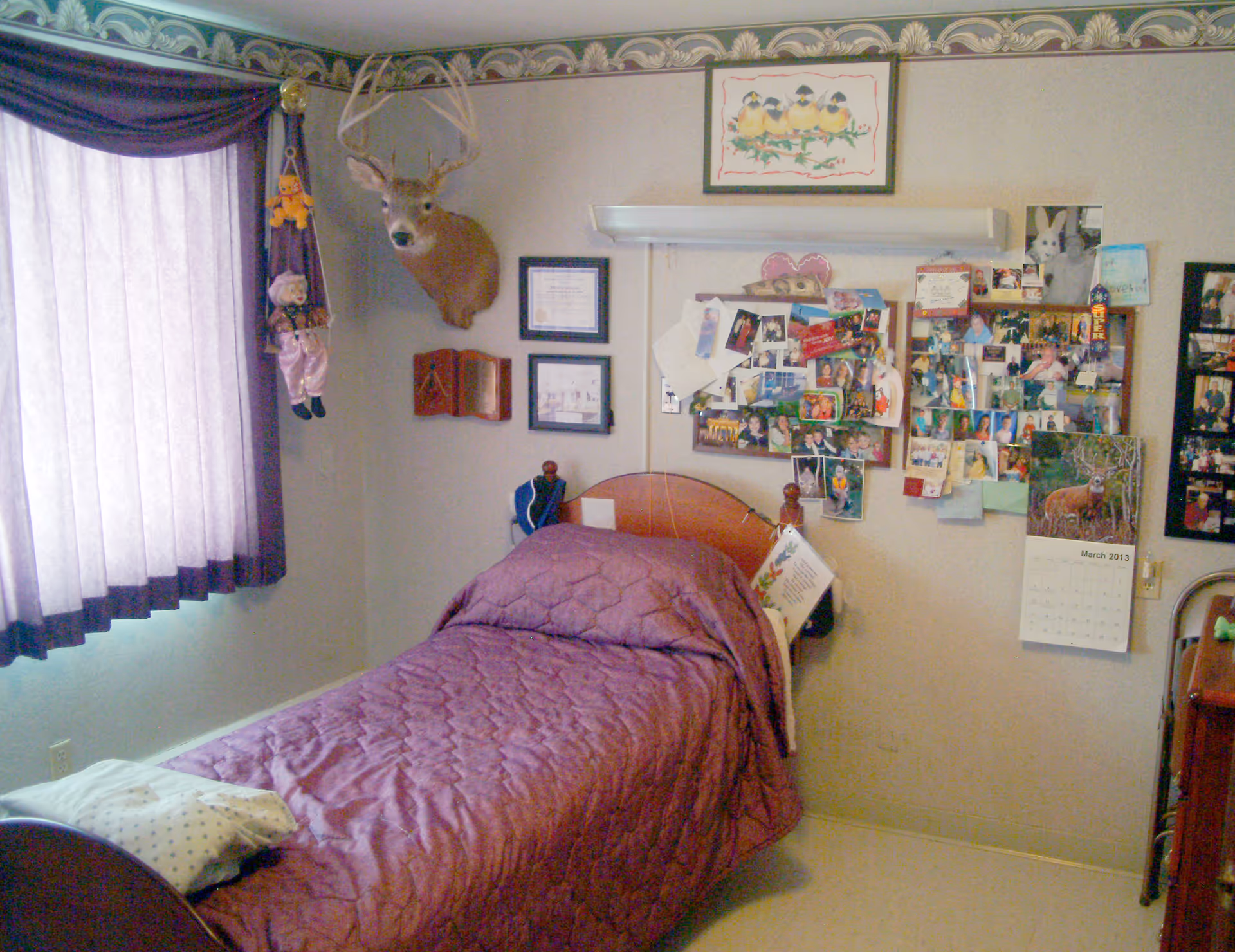 A small bedroom with a single bed covered in a purple quilt. The wall behind the bed is decorated with numerous photos, a calendar, and framed pictures. A mounted deer head is displayed on the wall above the bed. A window with purple curtains is on the left side of the room.
