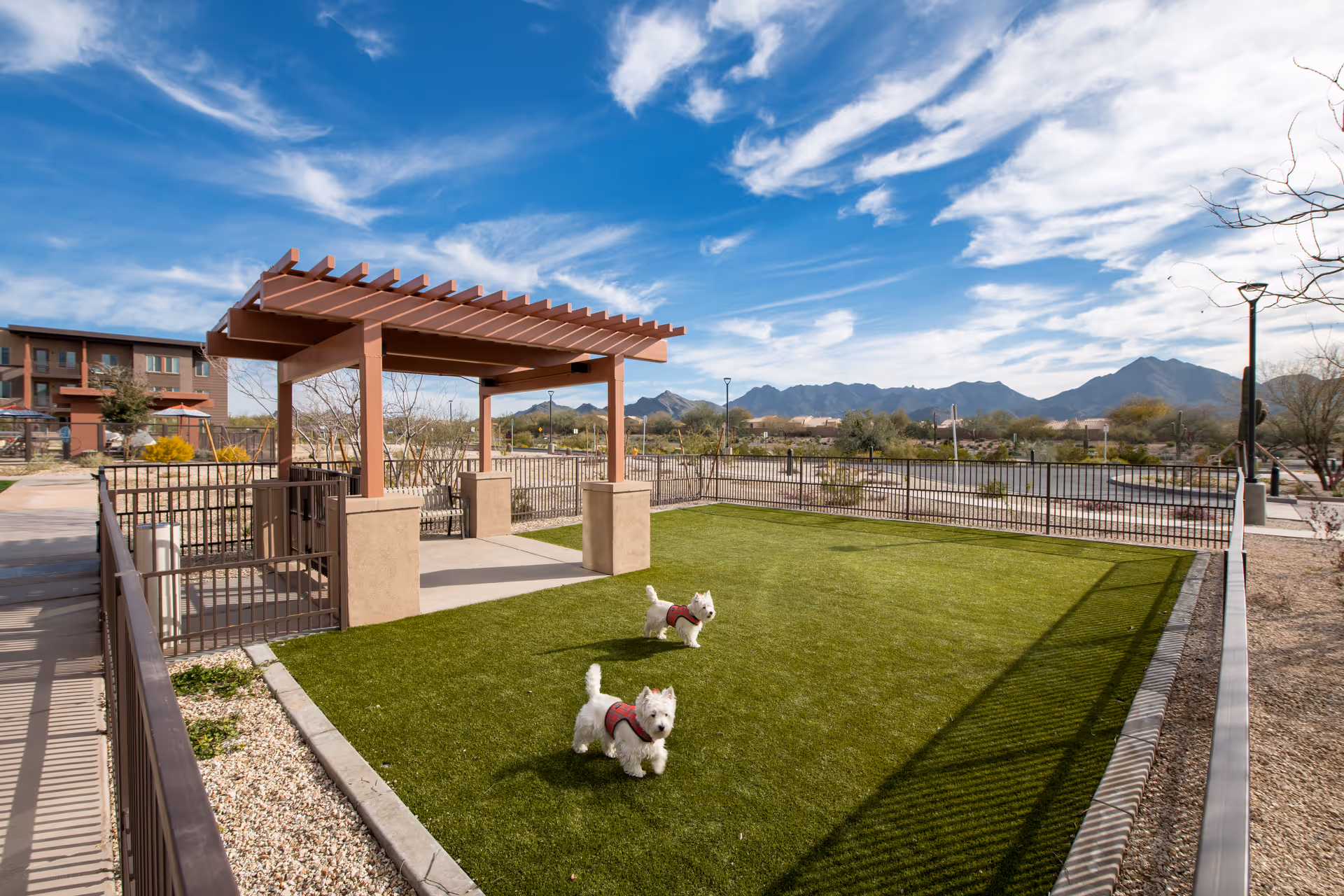 Outdoor fenced area with artificial grass, two small white dogs wearing red harnesses, a wooden pergola with seating underneath, and a backdrop of mountains under a partly cloudy blue sky.