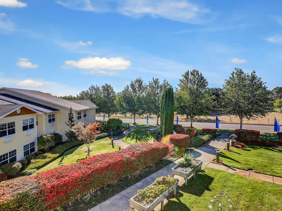 Landscaped courtyard and walkway outside a senior living building with hedges, planters, trees and blue flags along the street.