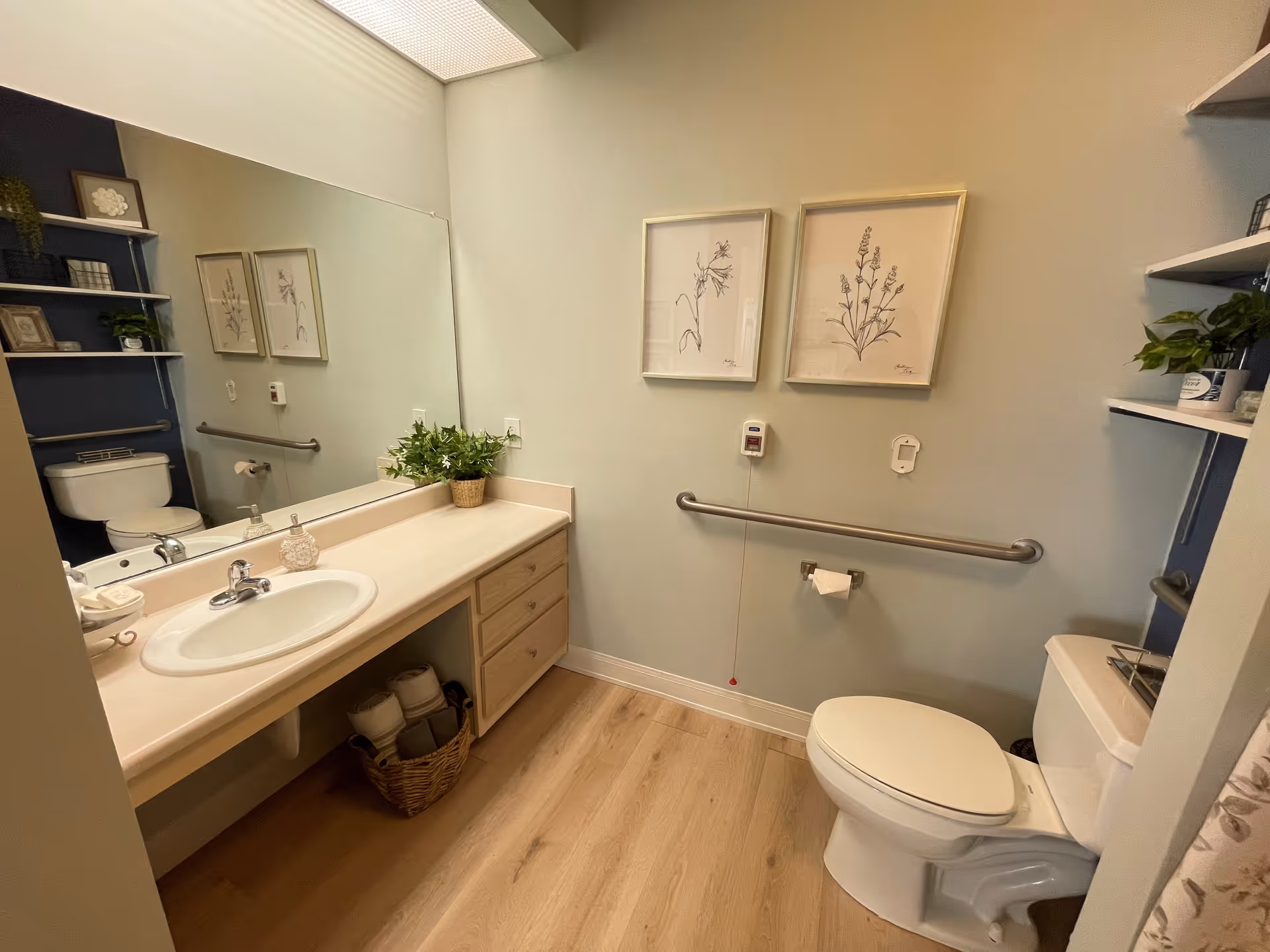 A clean and well-lit bathroom with a white toilet, a long countertop with a sink, a large mirror above the sink, and wooden flooring. The walls are light-colored with two framed botanical prints hanging above a grab bar next to the toilet. There are shelves with decorative items and plants on the left and right sides of the room.