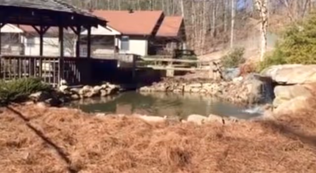 Landscaped outdoor pond with a small rock waterfall, a wooden gazebo and bridge near a red-roofed building surrounded by trees.