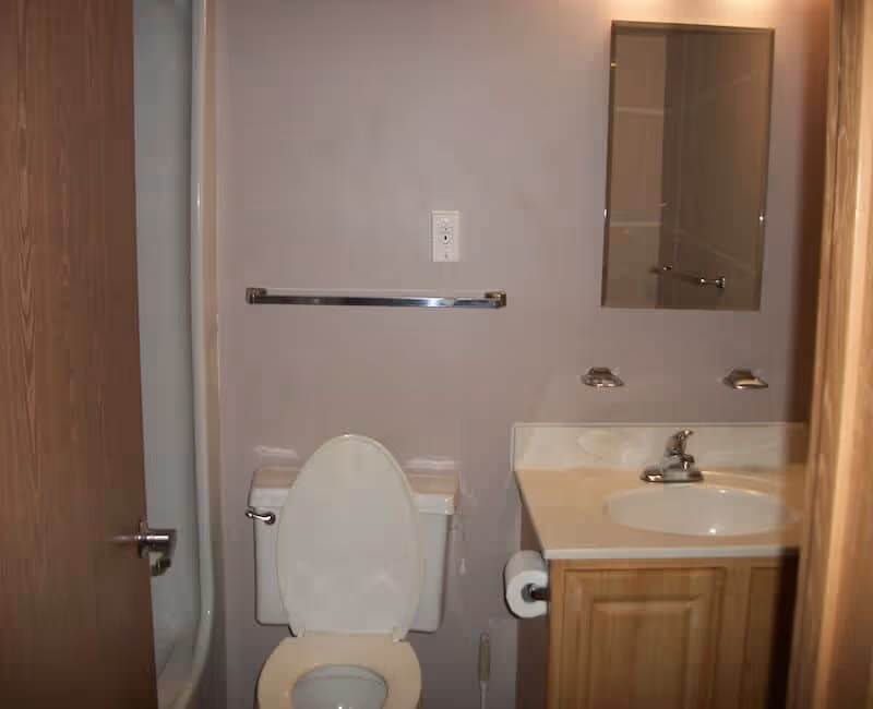 A small bathroom with a white toilet with the lid open, a wooden vanity with a white sink and faucet, a mirror above the sink, a towel bar on the wall, and a partially visible shower curtain on the left side.