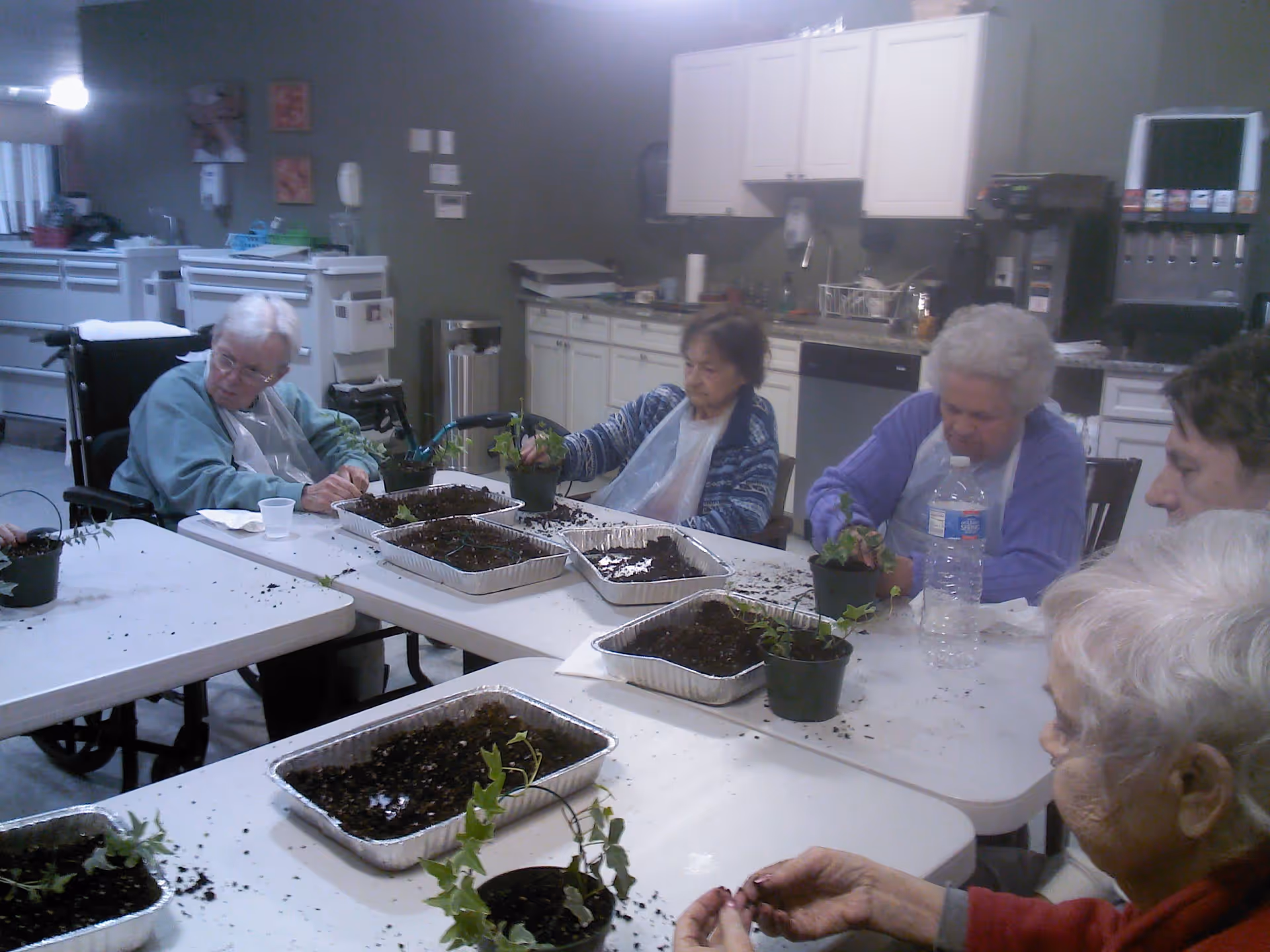 A group of elderly individuals sitting around tables indoors, engaging in a gardening activity with small potted plants and trays of soil. The room appears to be a common area with kitchen cabinets, a coffee machine, and a soda dispenser in the background.