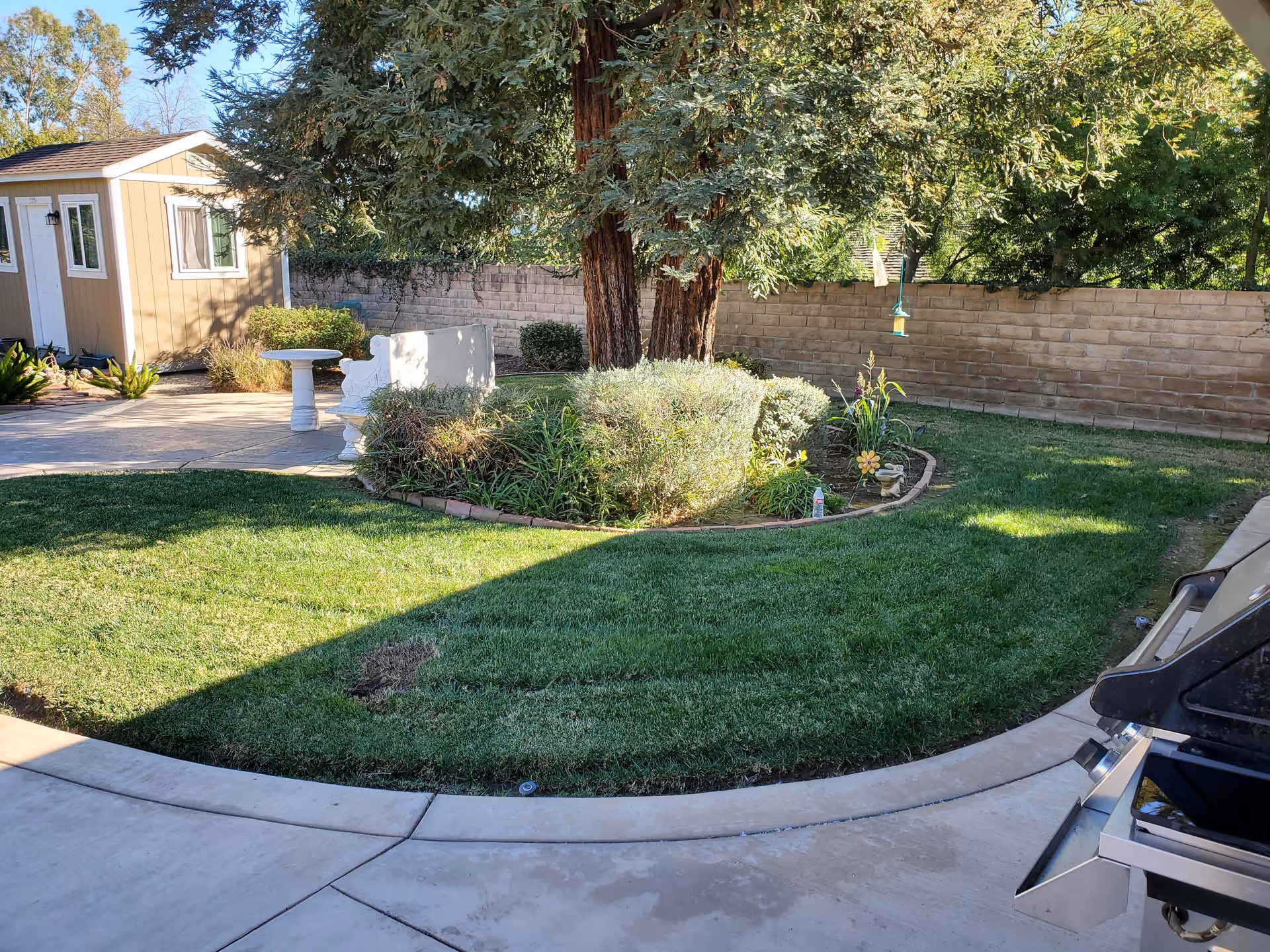 A well-maintained outdoor garden area with green grass, a small flower bed with shrubs and plants, two large trees, a white bench, a white round table, a small shed, and a barbecue grill on a concrete patio.