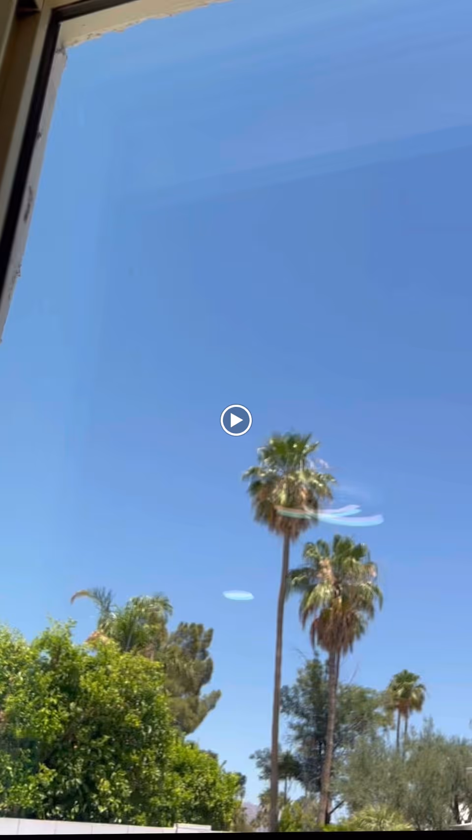 View through a window showing a clear blue sky with several tall palm trees and other green trees outside.