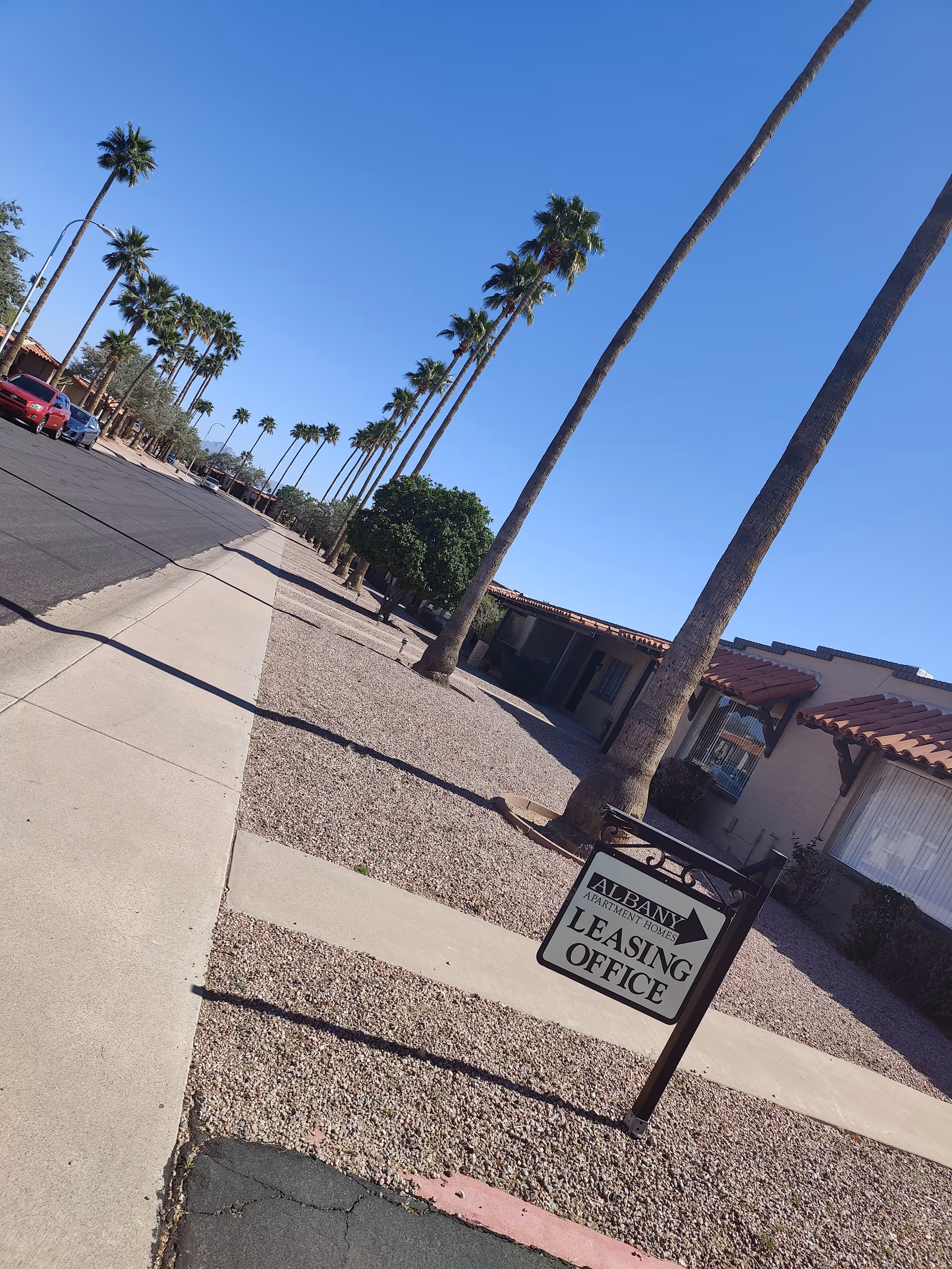 Sidewalk along a street lined with tall palm trees and single-story buildings with red tile roofs. A sign in the foreground reads 'Albany Apartment Homes Leasing Office' with an arrow pointing to the right. Several cars are parked along the street under a clear blue sky.