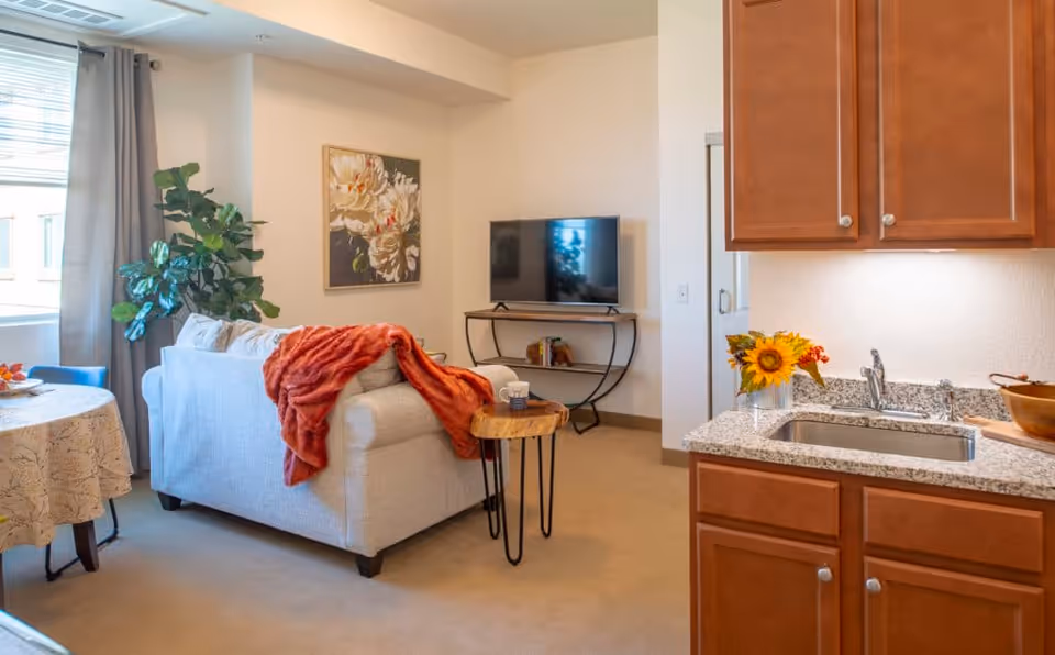 A cozy living room area with a light gray sofa draped with an orange throw blanket, a small wooden side table with a cup, a flat-screen TV on a metal stand, a large leafy plant near a window with gray curtains, and a round dining table with a floral tablecloth. To the right, there is a kitchen area with wooden cabinets, a granite countertop, a sink, and a vase with sunflowers.