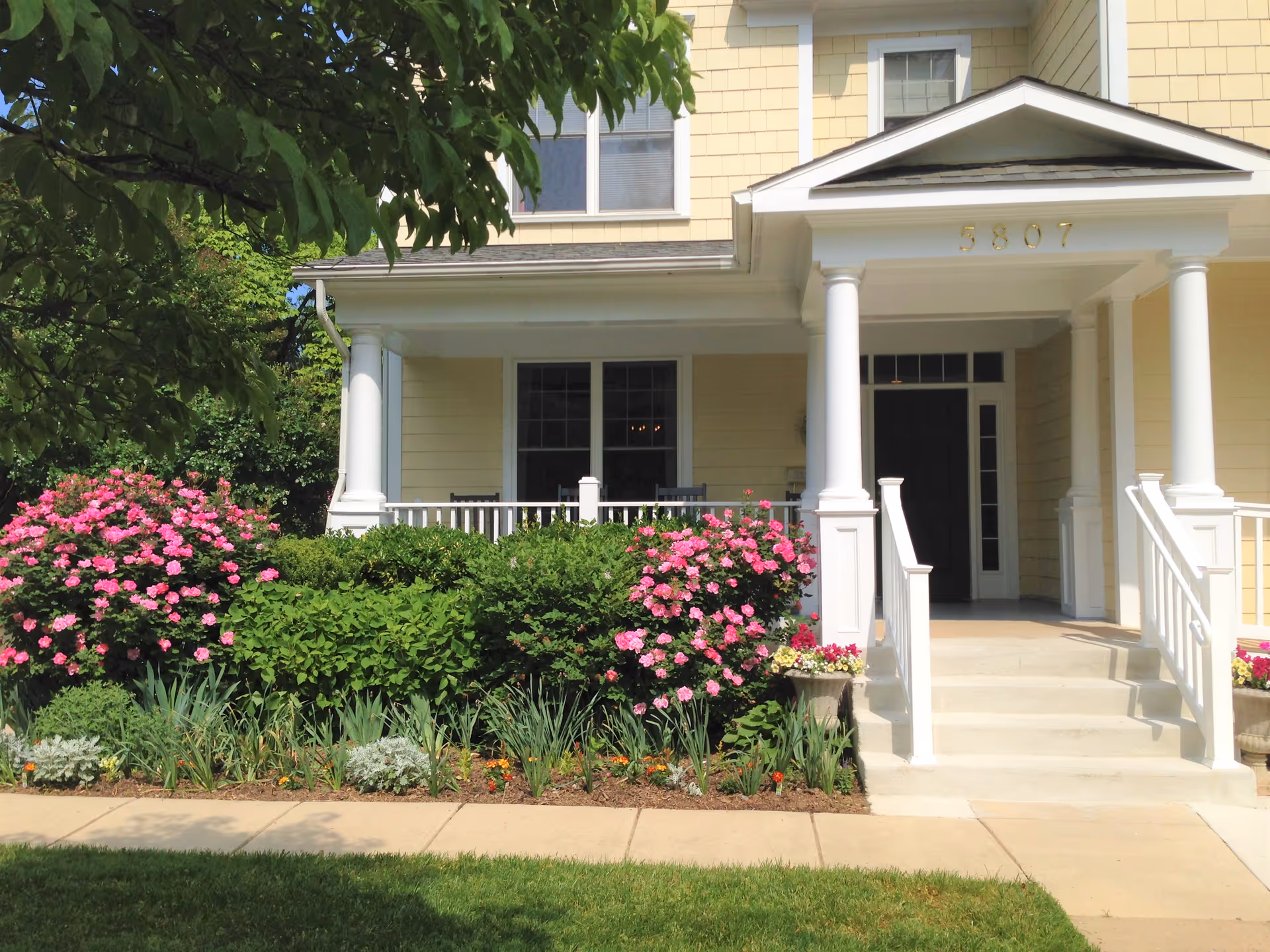 Front entrance of a yellow house with white columns and railings, surrounded by green bushes and pink flowering plants, with a concrete walkway and steps leading up to the porch.