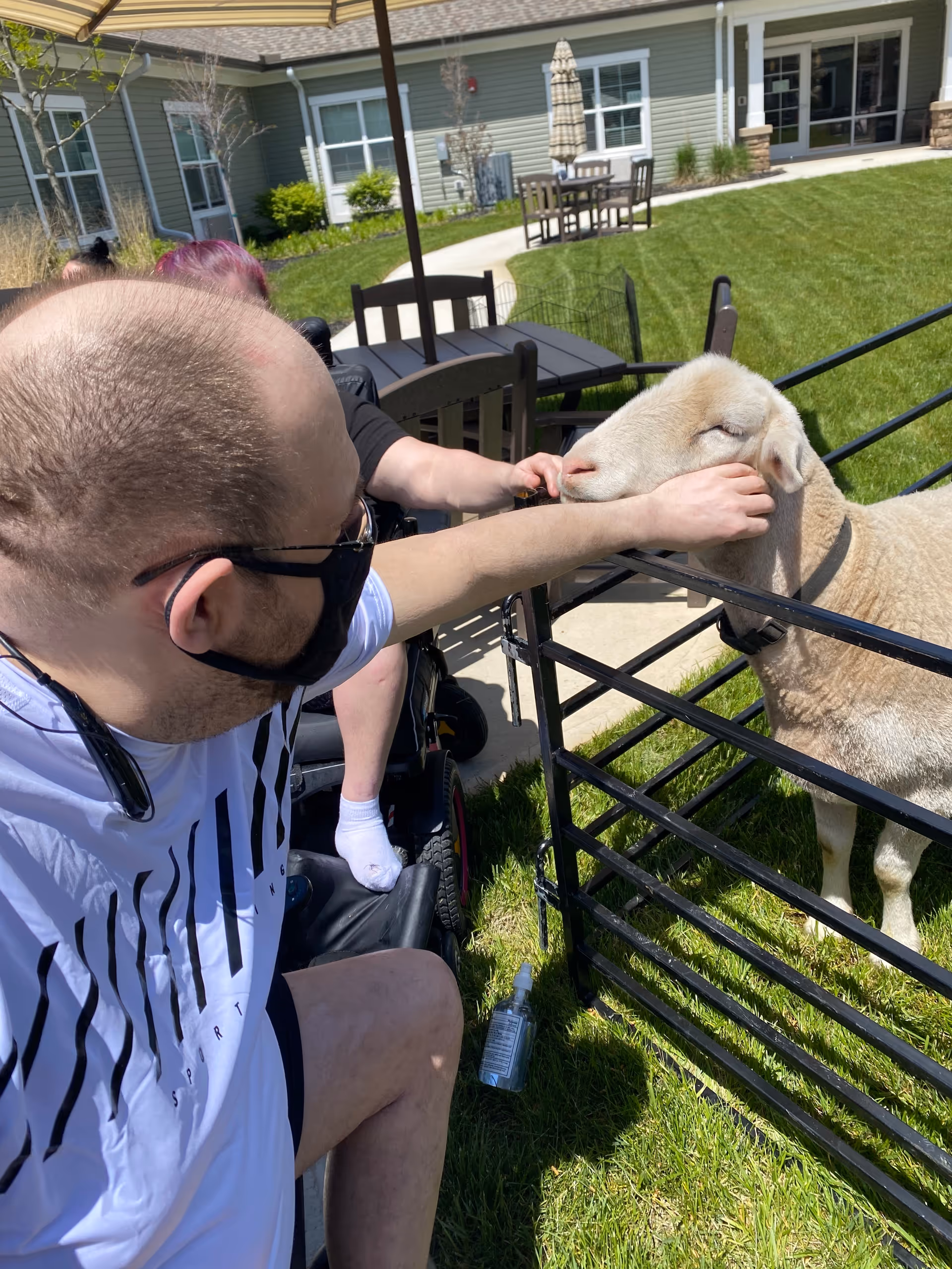 A man wearing glasses and a face mask is sitting in a wheelchair outdoors, gently petting a sheep through a black metal fence. Behind him, another person in a wheelchair is visible. The setting is a grassy courtyard area with patio tables and chairs, surrounded by a building with windows and doors.