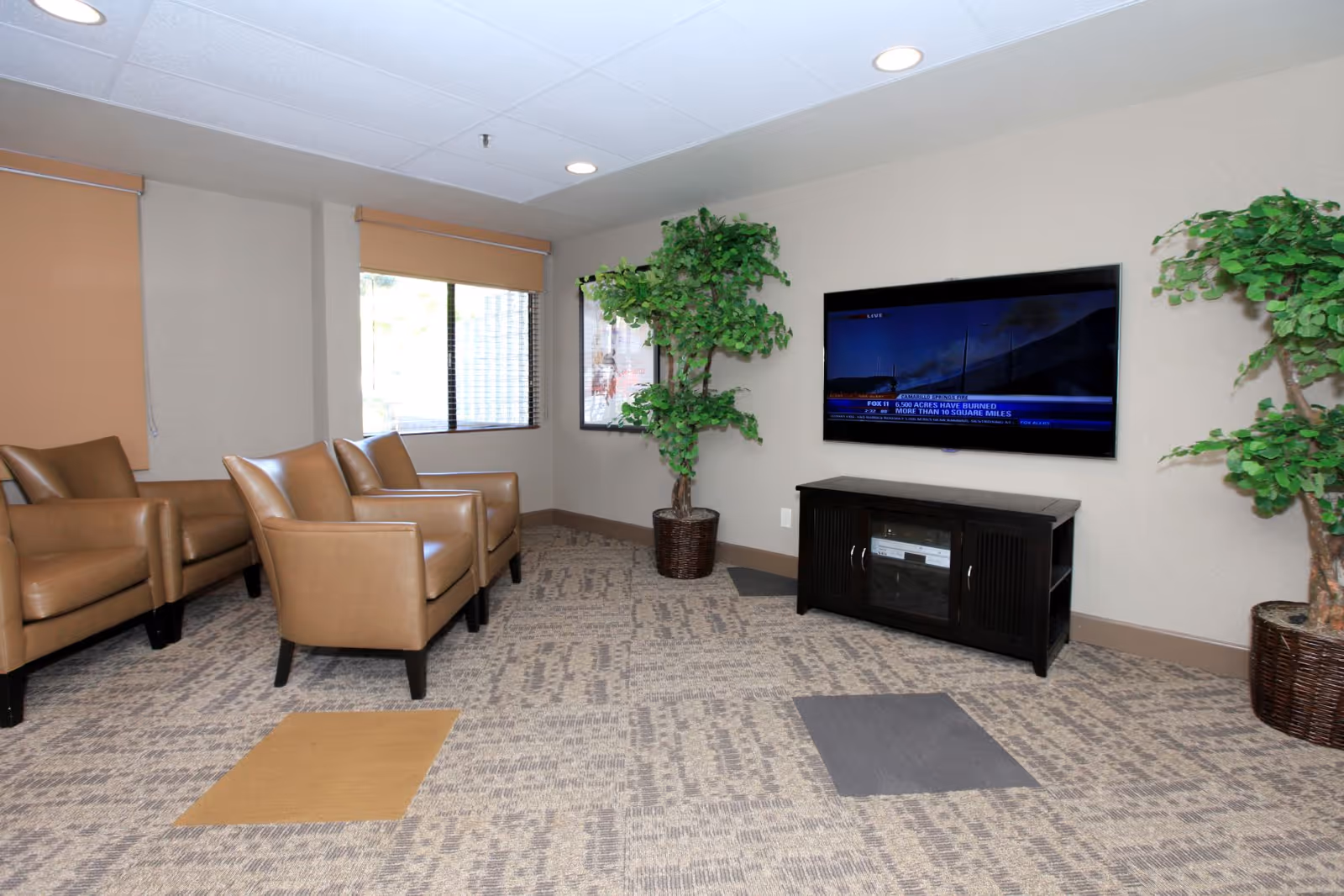 A small lounge area with four tan leather armchairs arranged in two rows facing a wall-mounted flat screen TV. The room has beige walls, a patterned carpet with square colored patches, two large potted artificial plants, and windows with beige roller blinds.