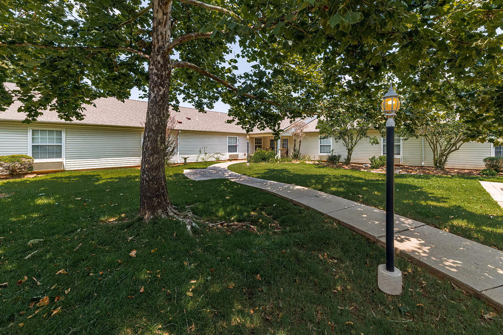 A sunny outdoor courtyard area at Ashbrook Village featuring a curved concrete walkway, green grass, a large tree providing shade, a black lamp post with a lit lantern, and a single-story building with beige siding and multiple windows in the background.