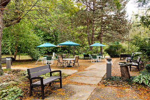 Outdoor seating area in a garden with several tables and chairs under teal umbrellas, surrounded by trees and greenery. There are benches along a paved pathway and some fallen leaves on the ground.