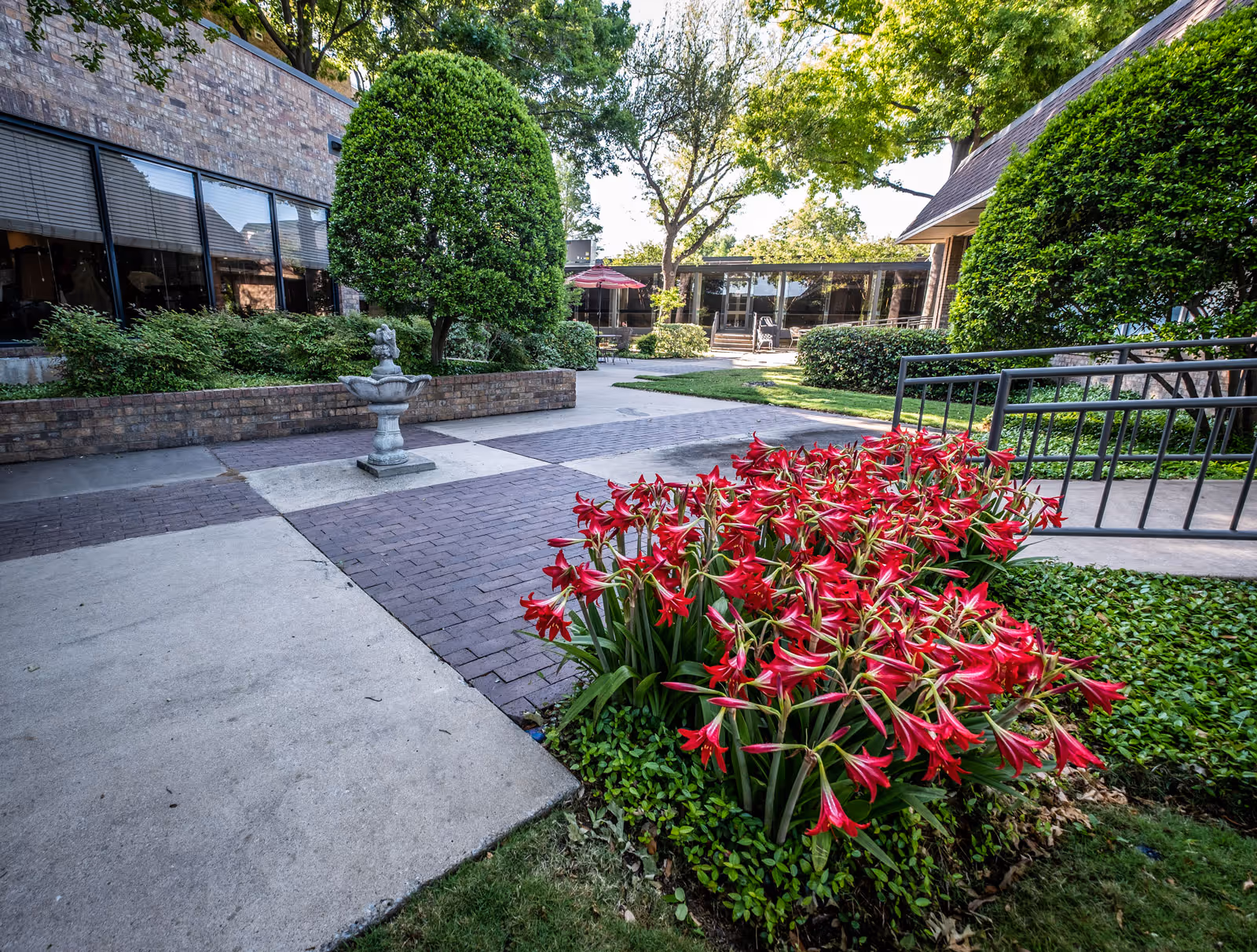Outdoor garden area at a senior living facility with a concrete and brick pathway, a small decorative fountain, neatly trimmed bushes, and a vibrant cluster of red flowers in the foreground. The building with large windows is visible in the background along with some outdoor seating and trees providing shade.