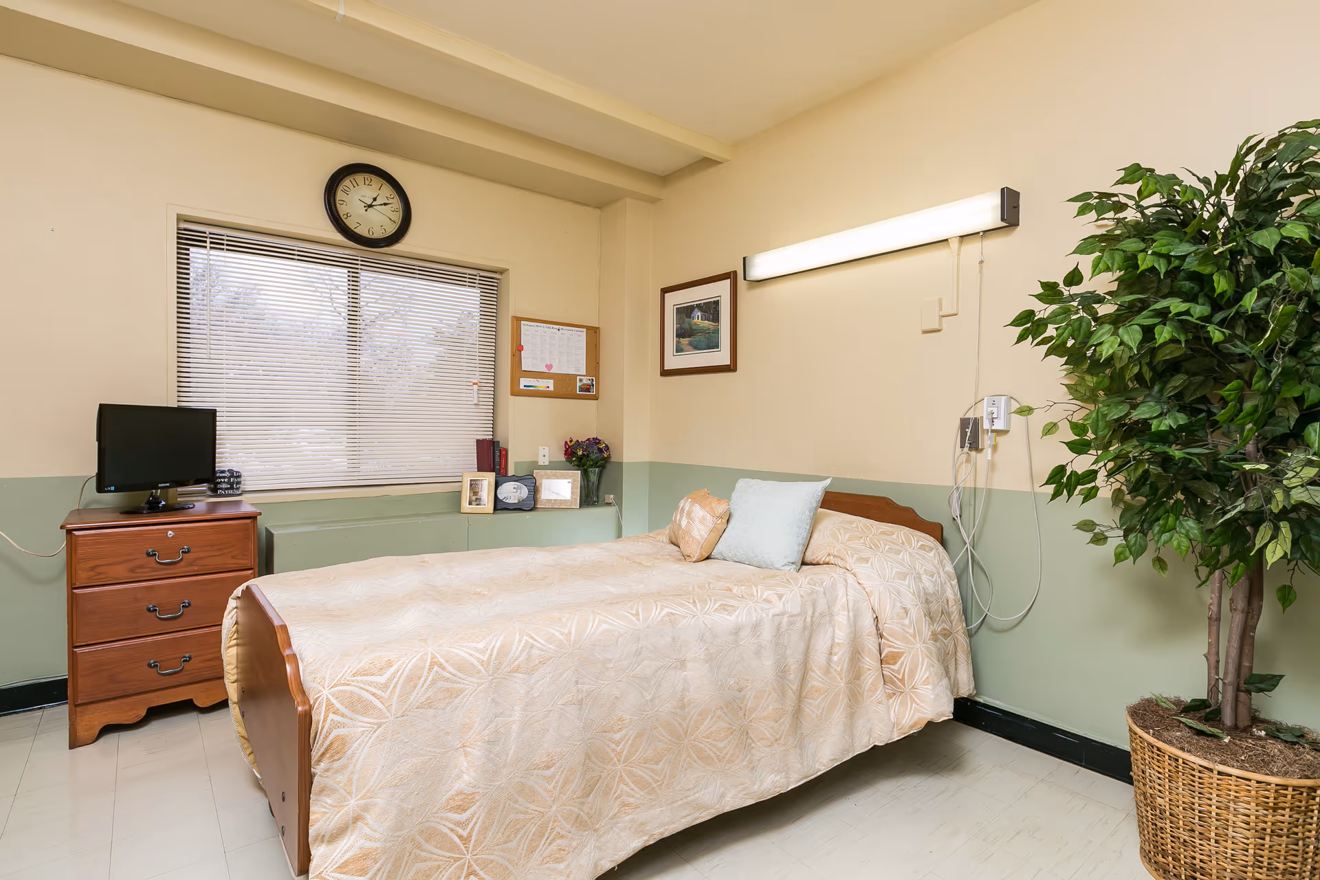 A neatly made single bed with beige patterned bedding and two pillows in a room with light green and cream walls. Next to the bed is a large potted plant in a woven basket. On the left side of the room, there is a wooden dresser with a small TV on top, and a window with closed blinds above a green ledge holding framed photos and a vase of flowers. A clock is mounted above the window, and a bulletin board and framed picture hang on the wall. A fluorescent light fixture is mounted above the bed with some medical equipment attached to the wall.