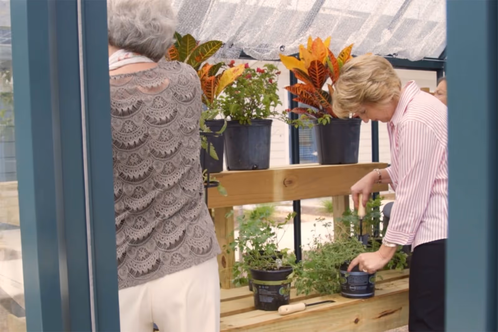 Two elderly women tending to potted plants on a wooden shelf inside a greenhouse or enclosed garden area. One woman is wearing a gray lace-patterned top and white pants, facing away from the camera, while the other woman, in a pink striped shirt and black pants, is using a small gardening tool to work with the plants.