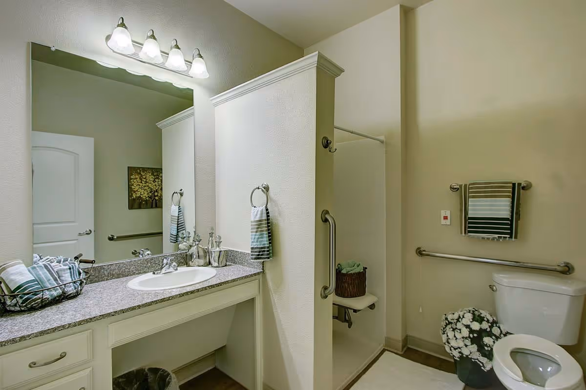 A clean and accessible bathroom with a large mirror above a granite countertop sink. The bathroom features a walk-in shower with a grab bar and a fold-down seat, a toilet with grab bars on both sides, striped towels hanging on towel racks, and a basket of rolled towels on the counter. There is also a small potted plant with white flowers near the toilet.
