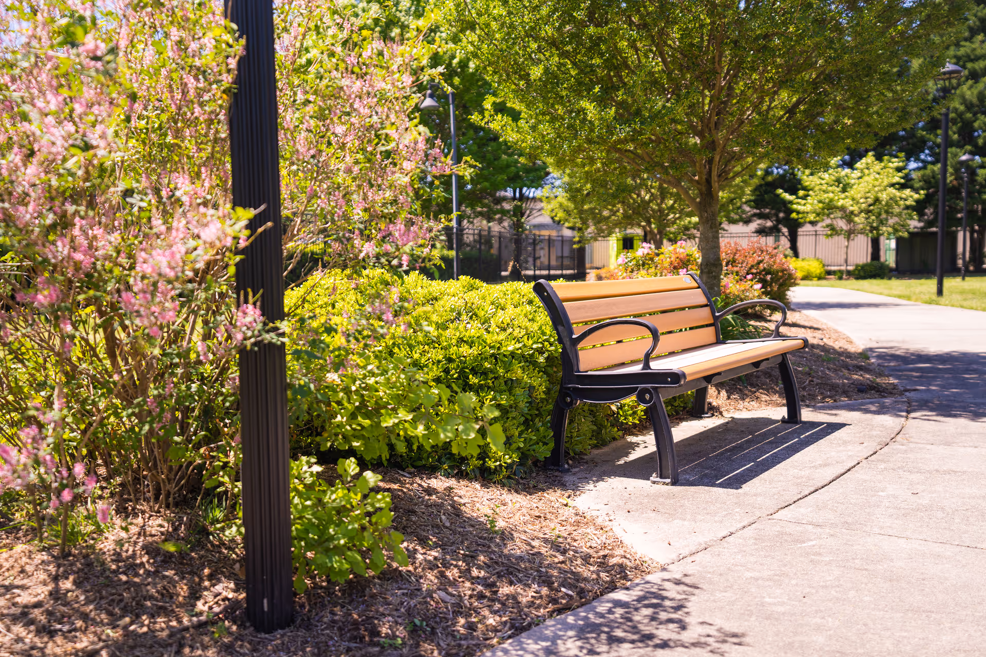 A wooden bench with black metal armrests and legs sits on a concrete pathway surrounded by green bushes and trees with pink flowers in a sunny outdoor garden area.