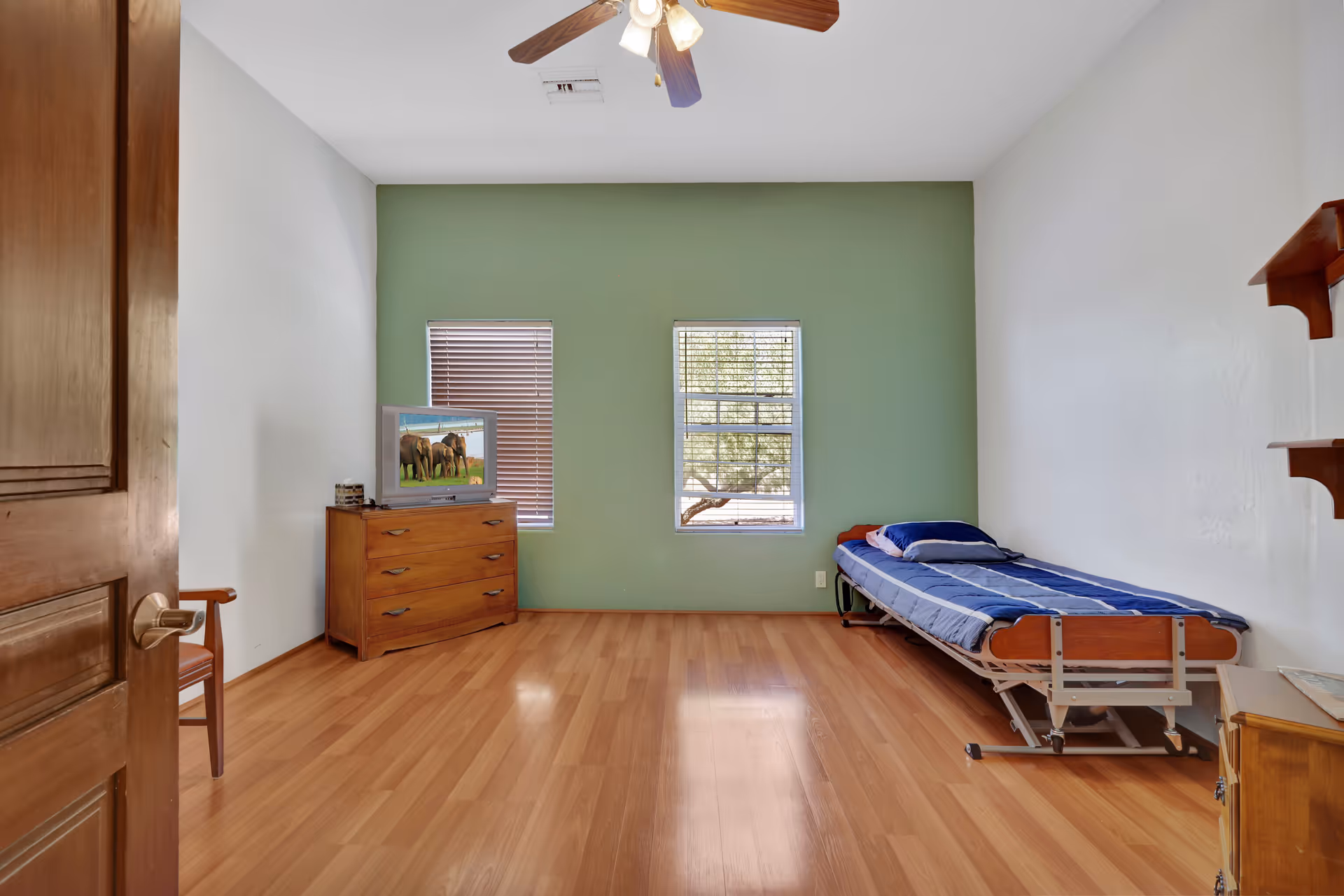A simple bedroom with light wood flooring, a single bed with blue bedding on the right, a wooden dresser with a TV showing elephants on the left, two windows with blinds on a green accent wall, a ceiling fan with lights, and a wooden door partially open on the left.