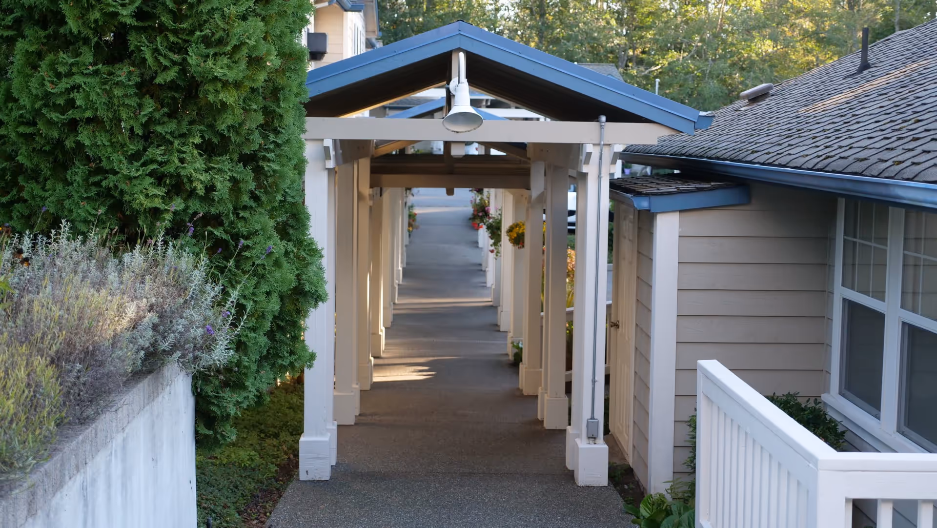 Covered walkway with white wooden beams and a blue roof leading through a landscaped area with bushes and flowers, adjacent to beige buildings with windows and a white railing.
